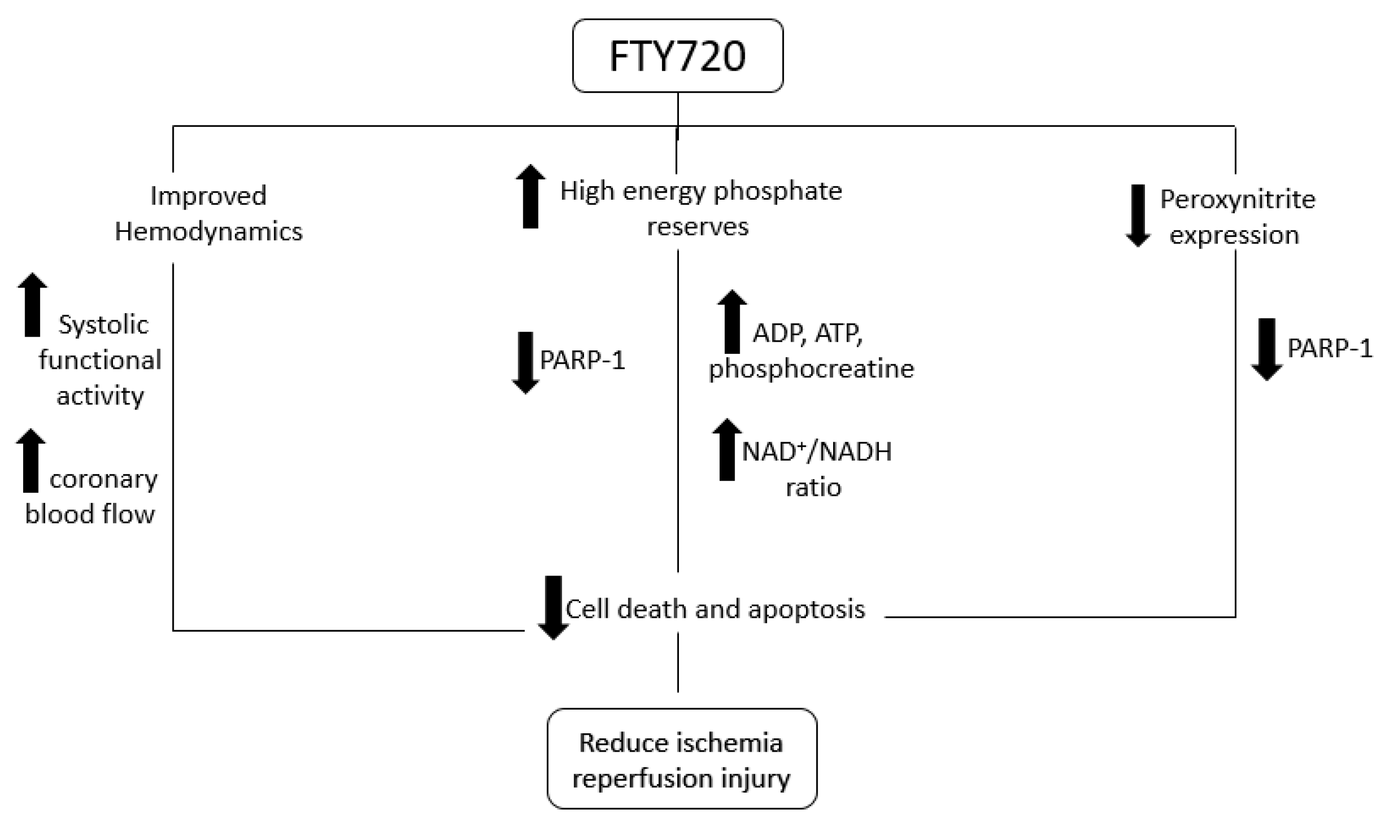 Ijms 21 06548 g006 Ijms 21 06548 g006
