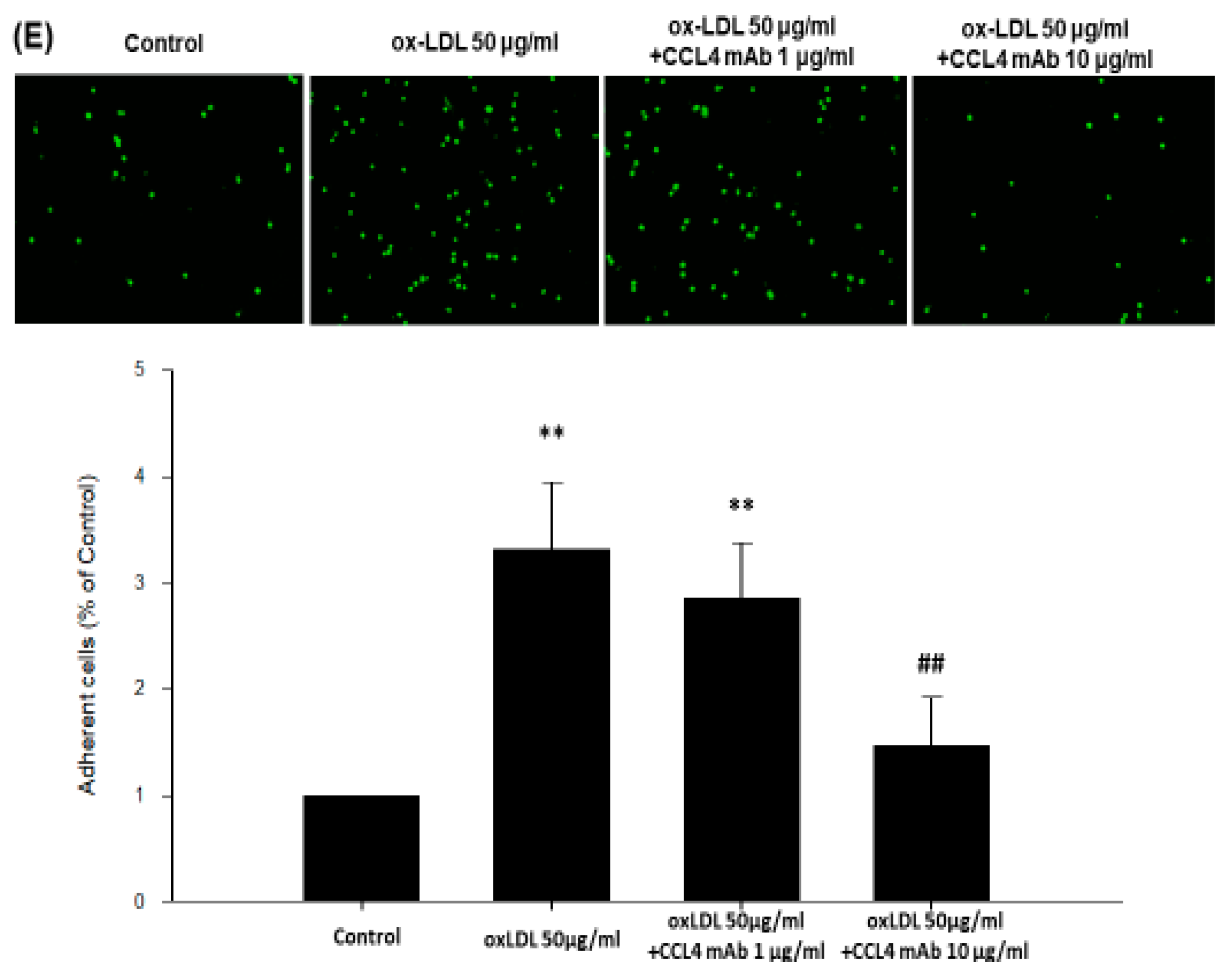 Ijms 21 06567 g005c Ijms 21 06567 g005c