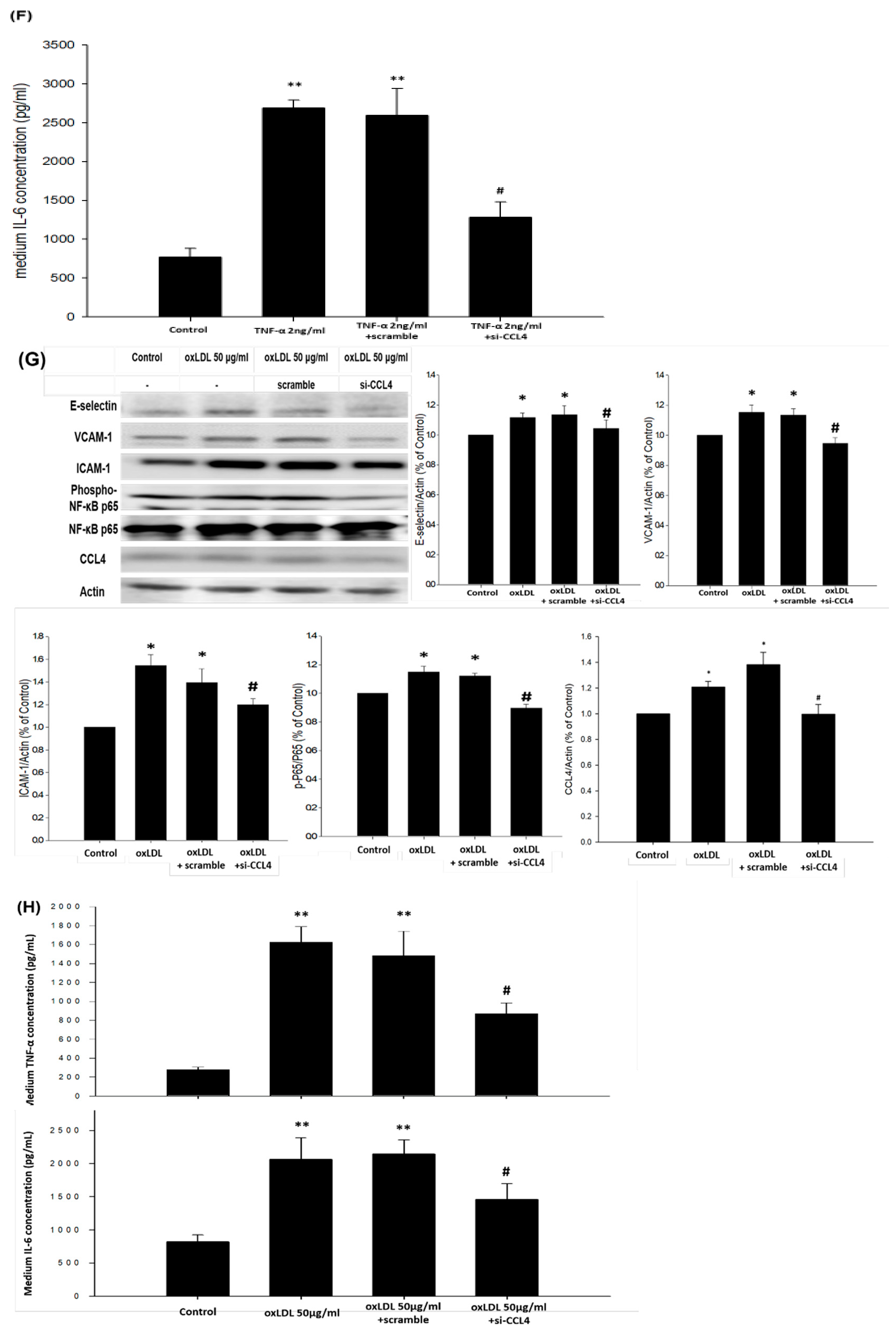 Ijms 21 06567 g006c Ijms 21 06567 g006c