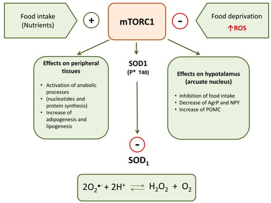 Extra high superoxide dismutase in host tissue is associated with