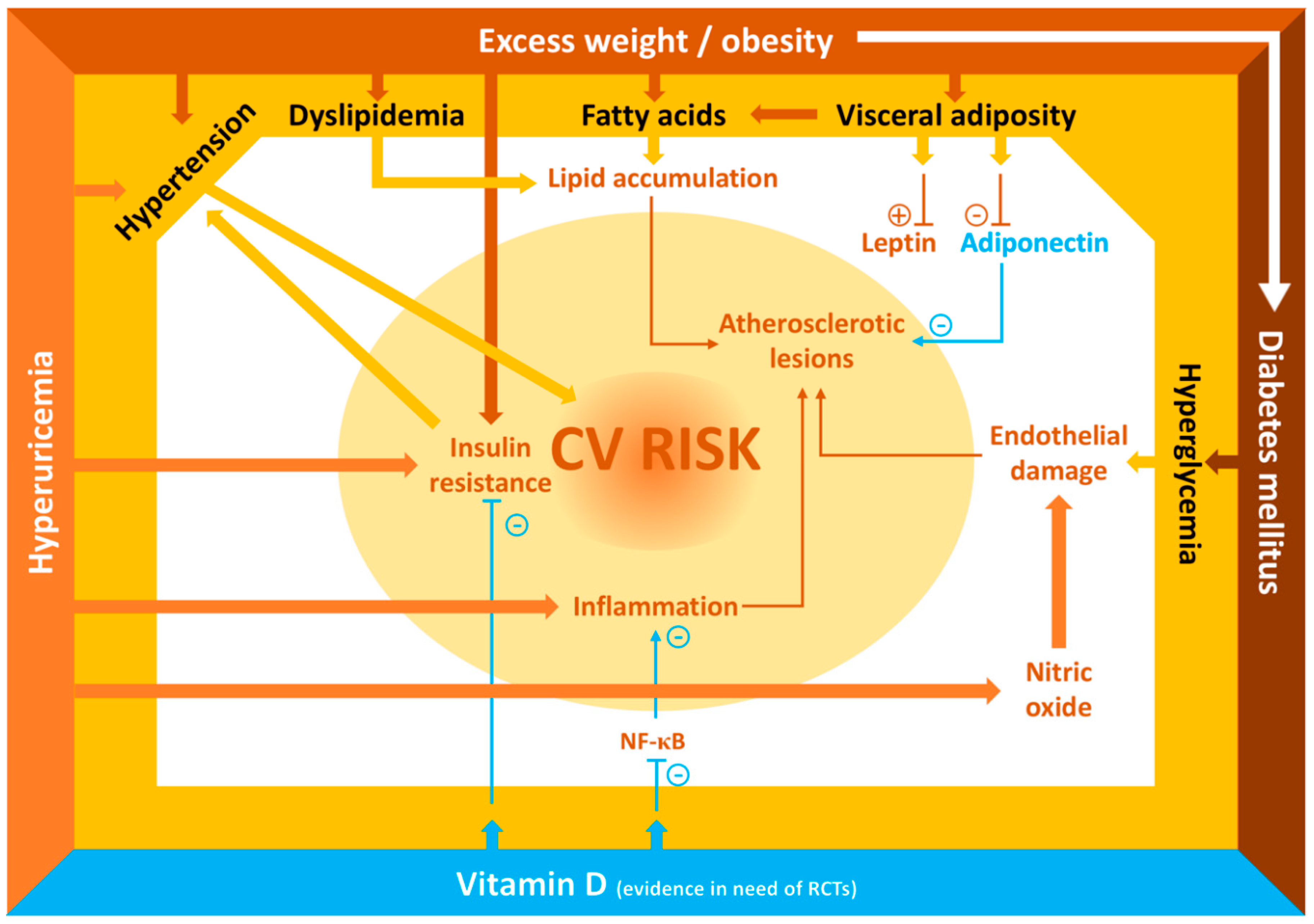 Ijms 21 06612 g001 Ijms 21 06612 g001