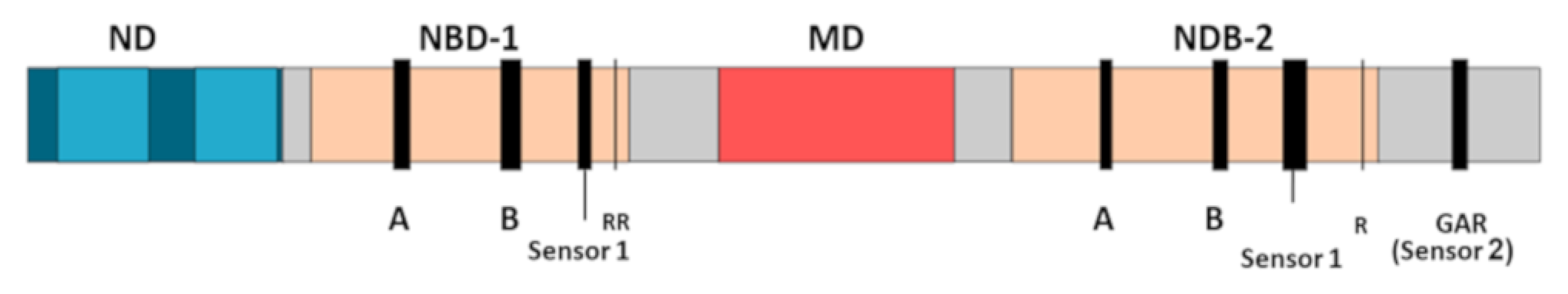 Ijms 21 06645 g001 Ijms 21 06645 g001