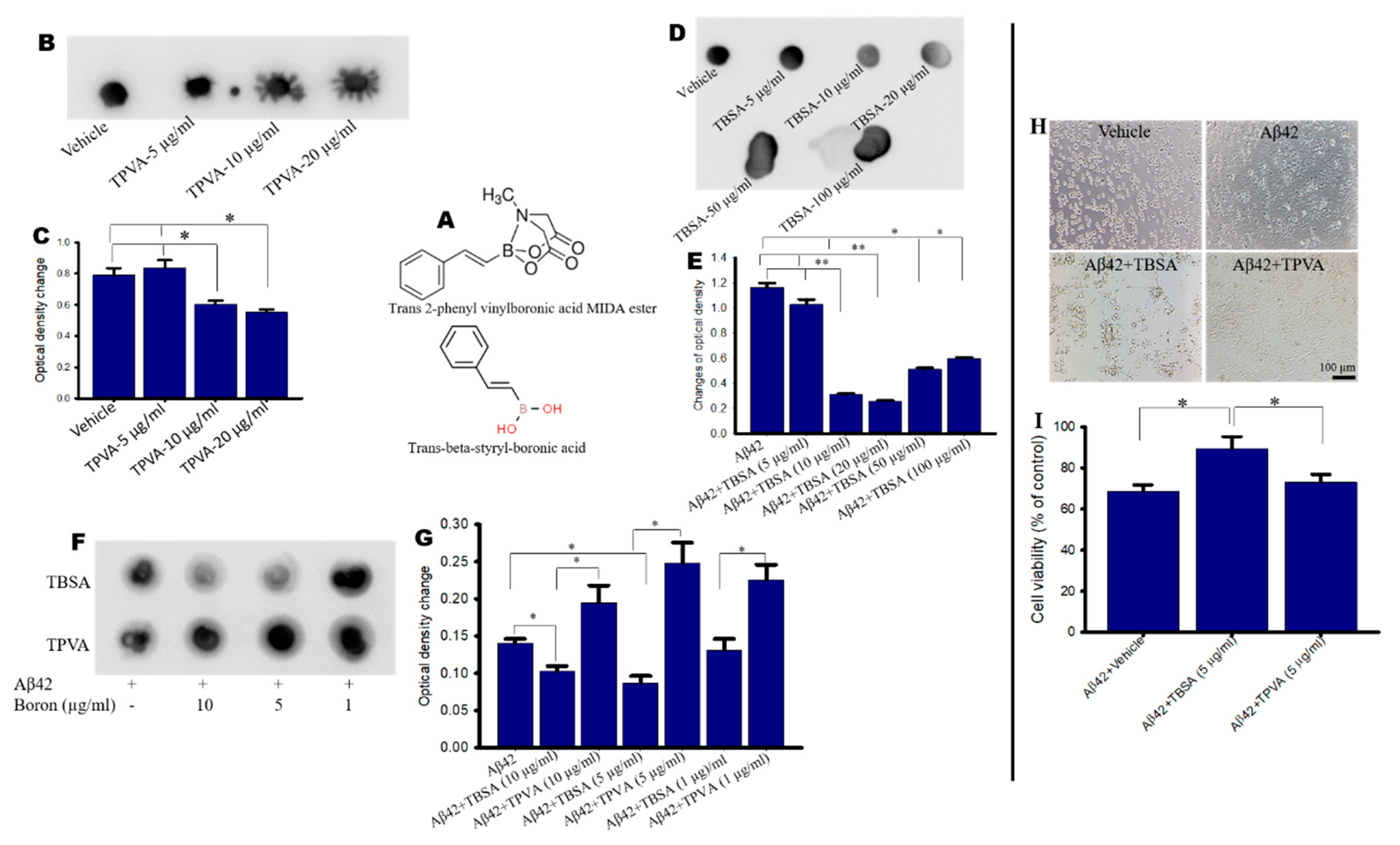 Ijms 21 06664 g001 Ijms 21 06664 g001