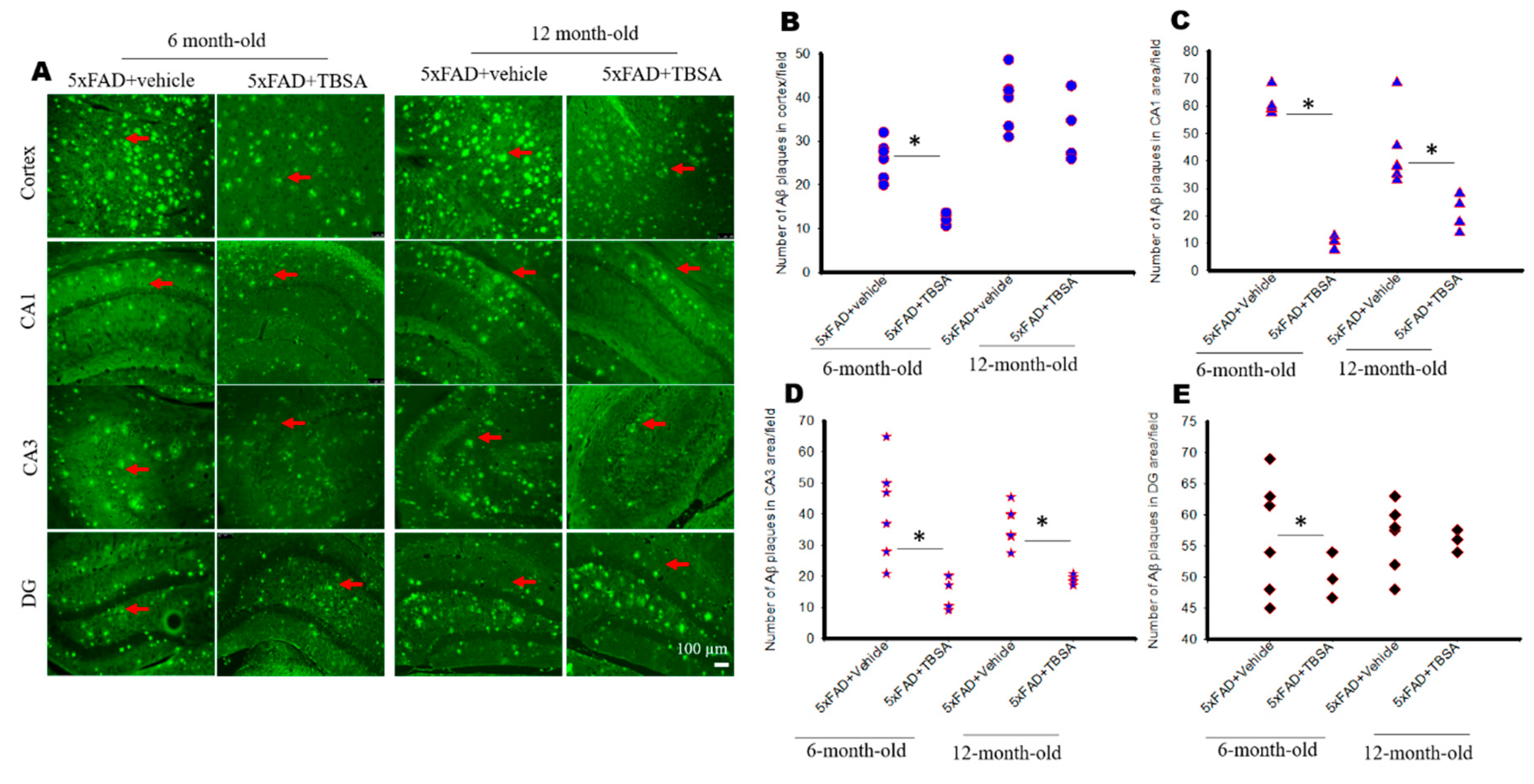 Ijms 21 06664 g003 Ijms 21 06664 g003