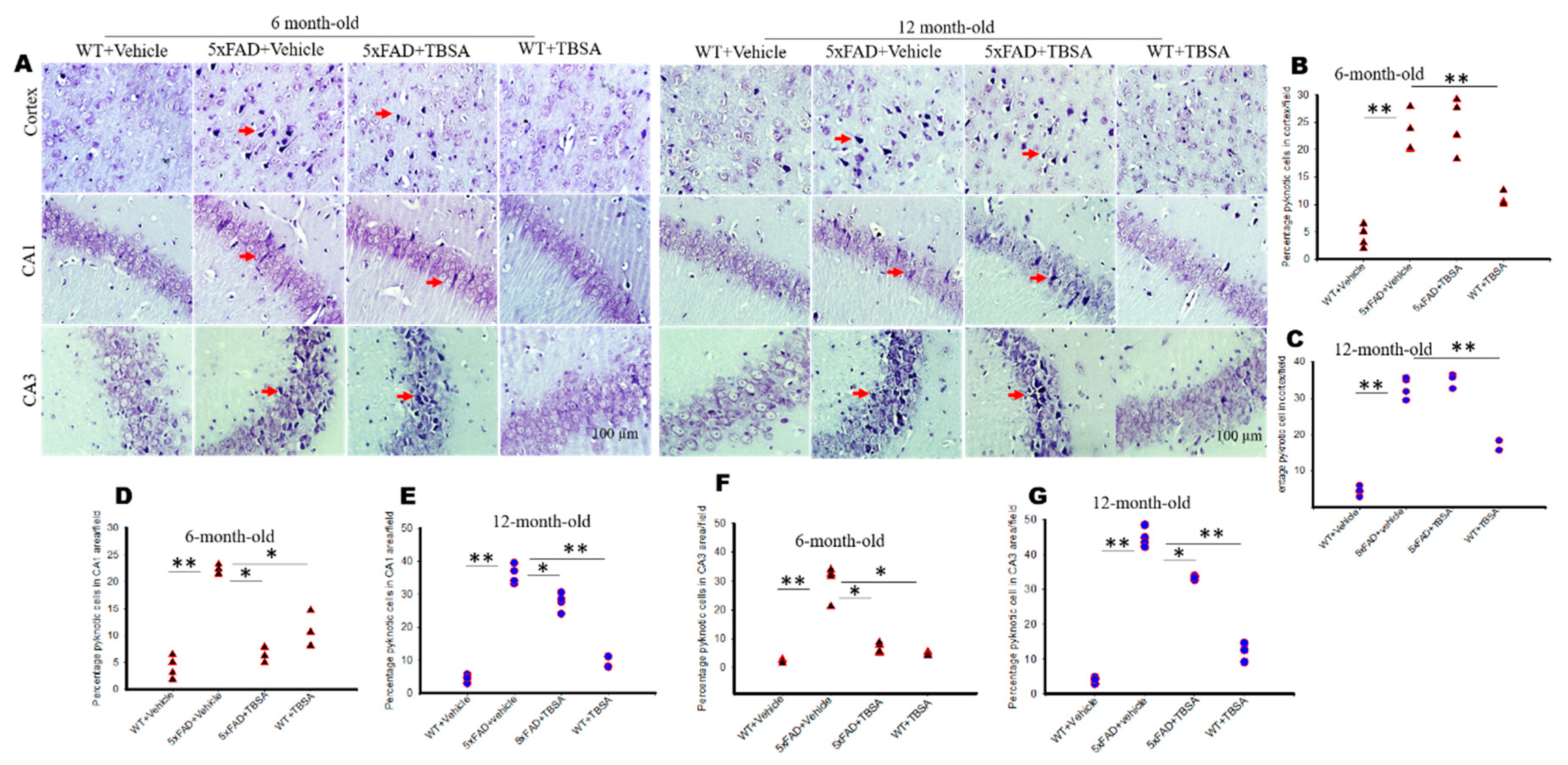 Ijms 21 06664 g004 Ijms 21 06664 g004
