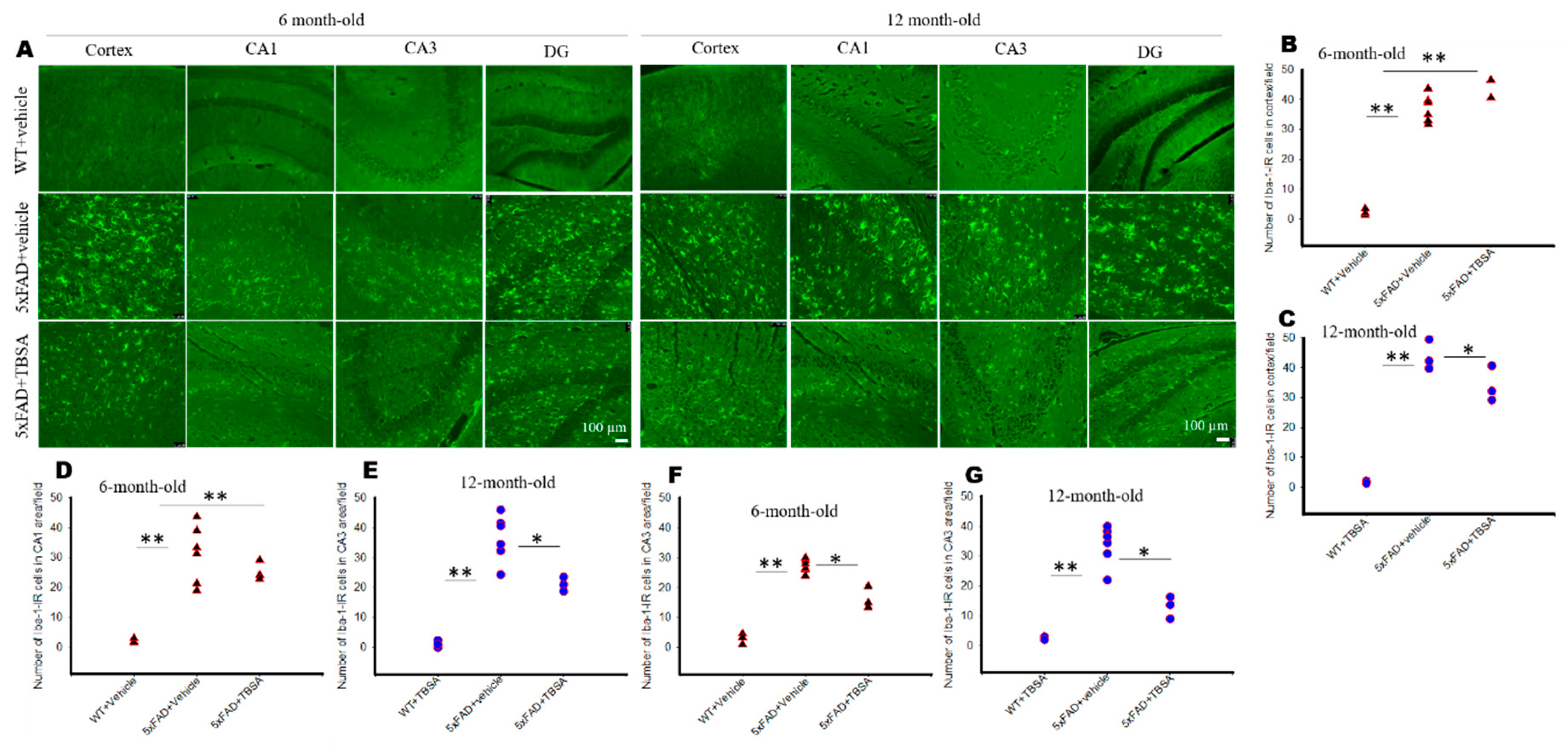 Ijms 21 06664 g006 Ijms 21 06664 g006