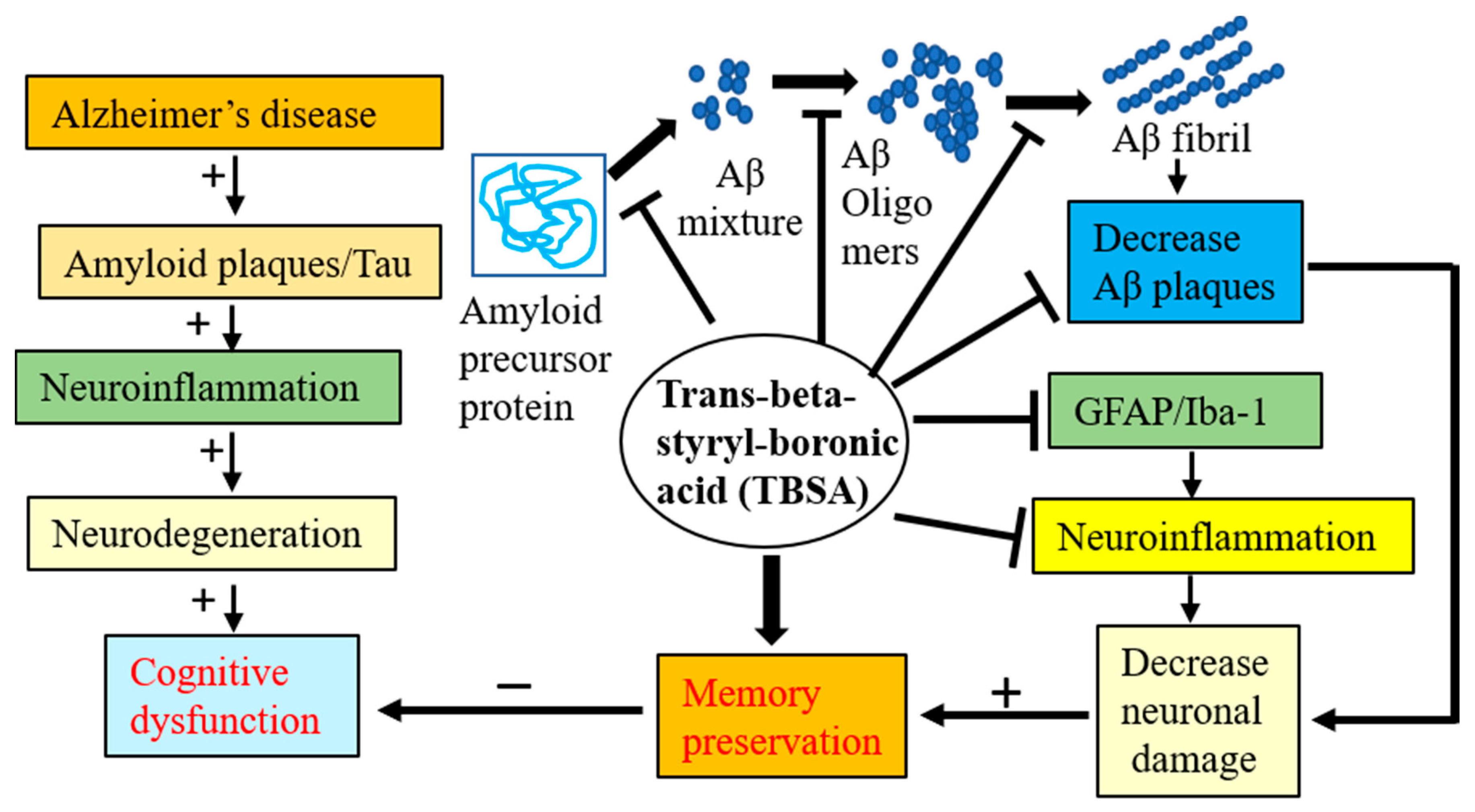 Ijms 21 06664 g011 Ijms 21 06664 g011