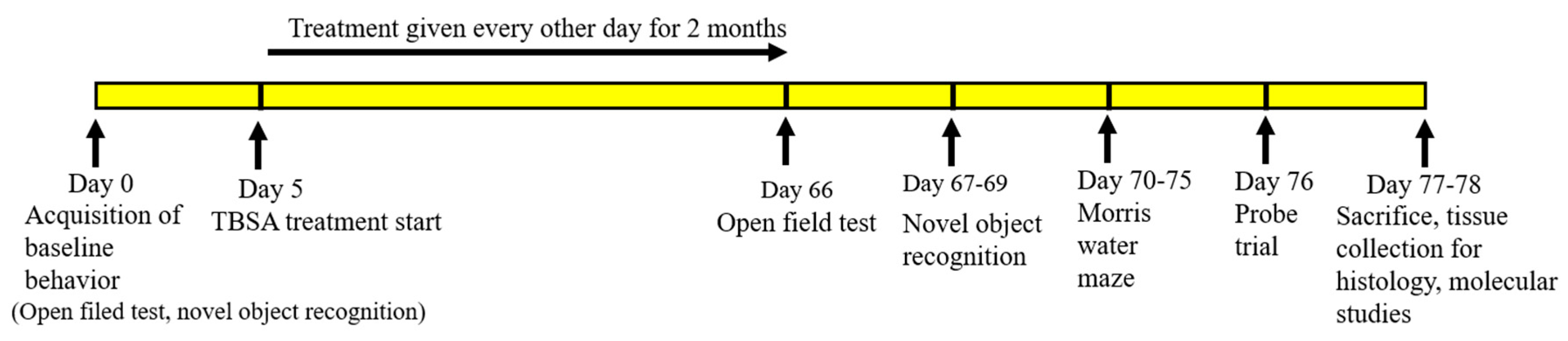 Ijms 21 06664 g012 Ijms 21 06664 g012