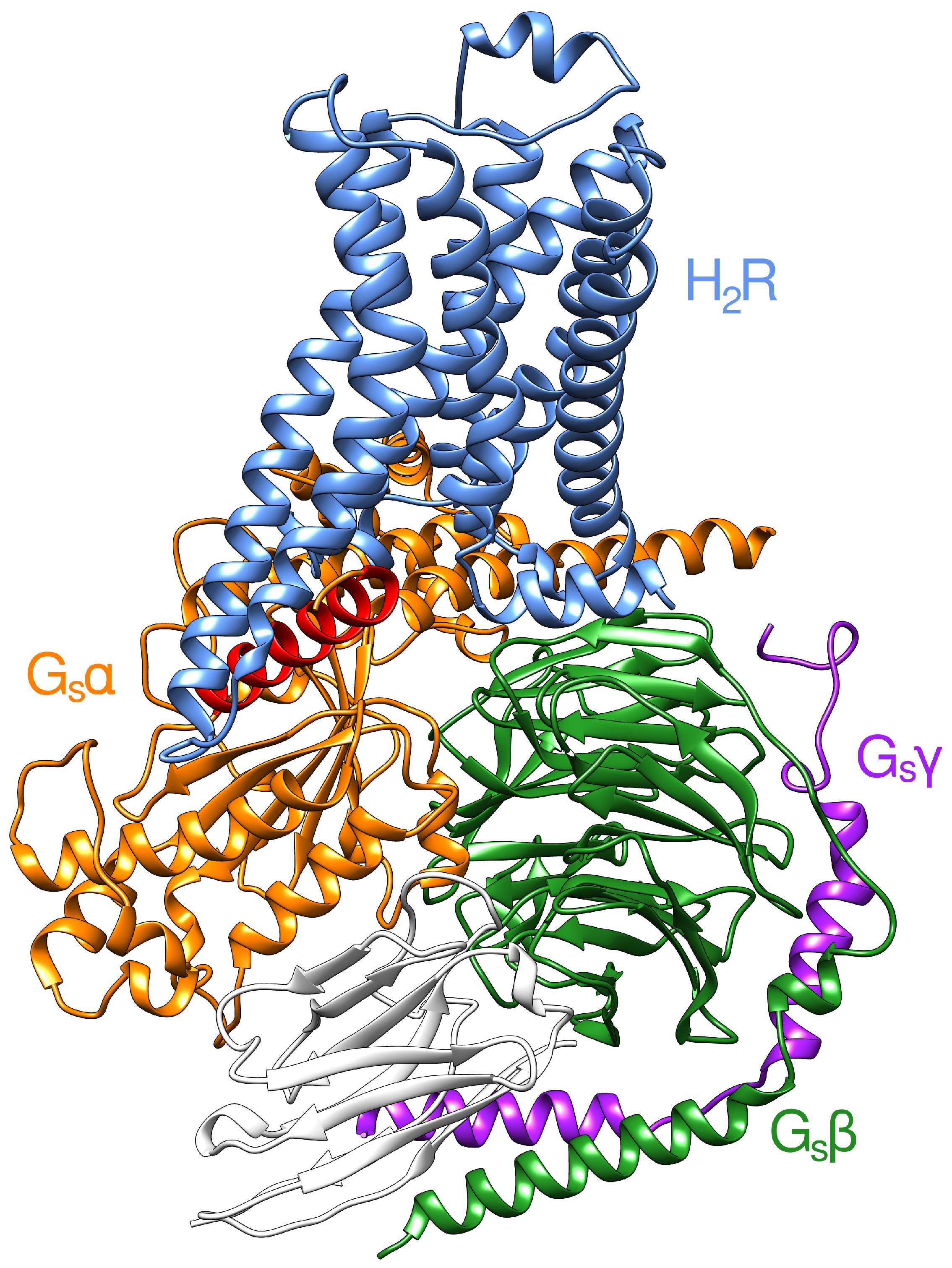 Ijms 21 06693 g001 Ijms 21 06693 g001