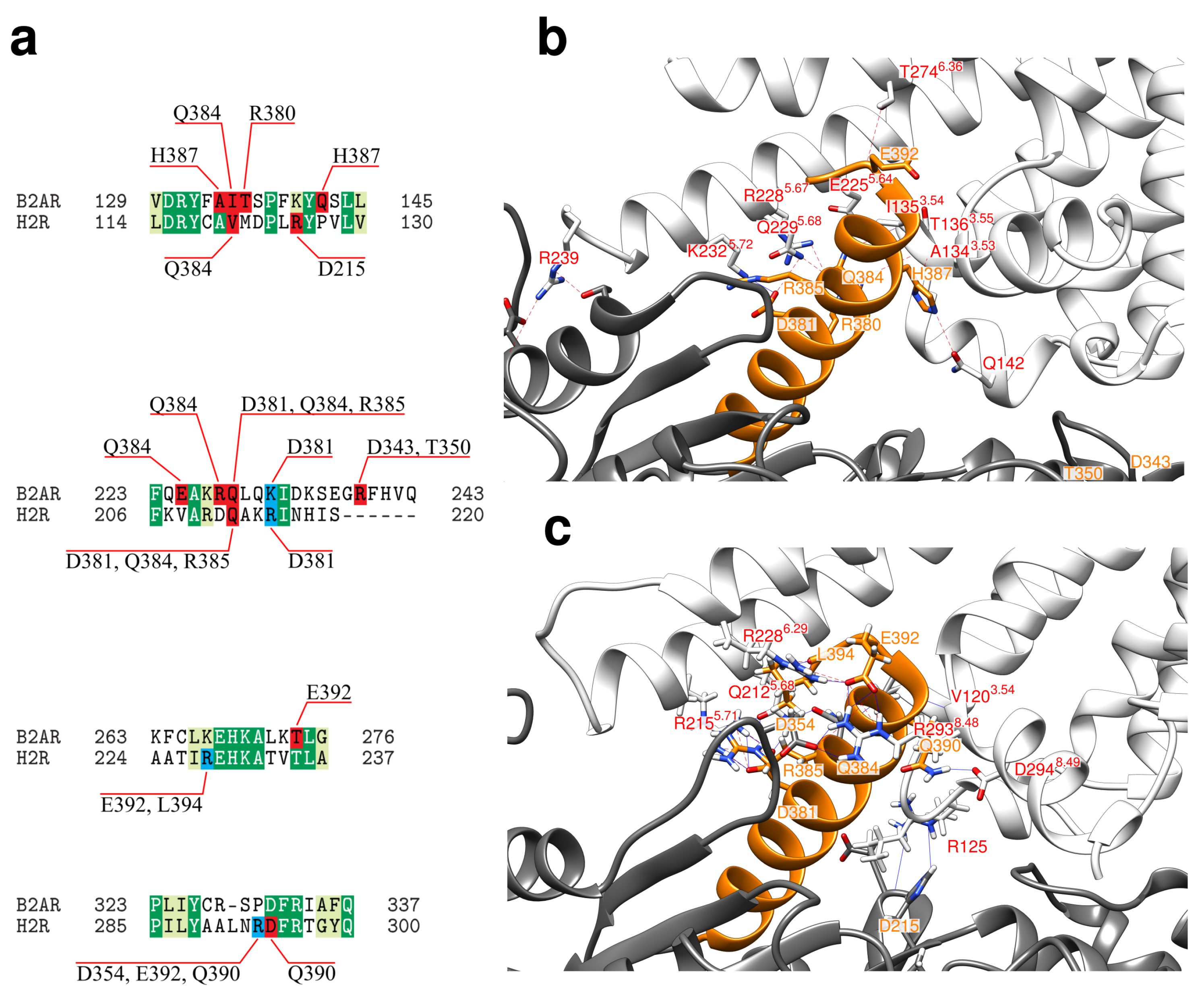 Ijms 21 06693 g005 Ijms 21 06693 g005