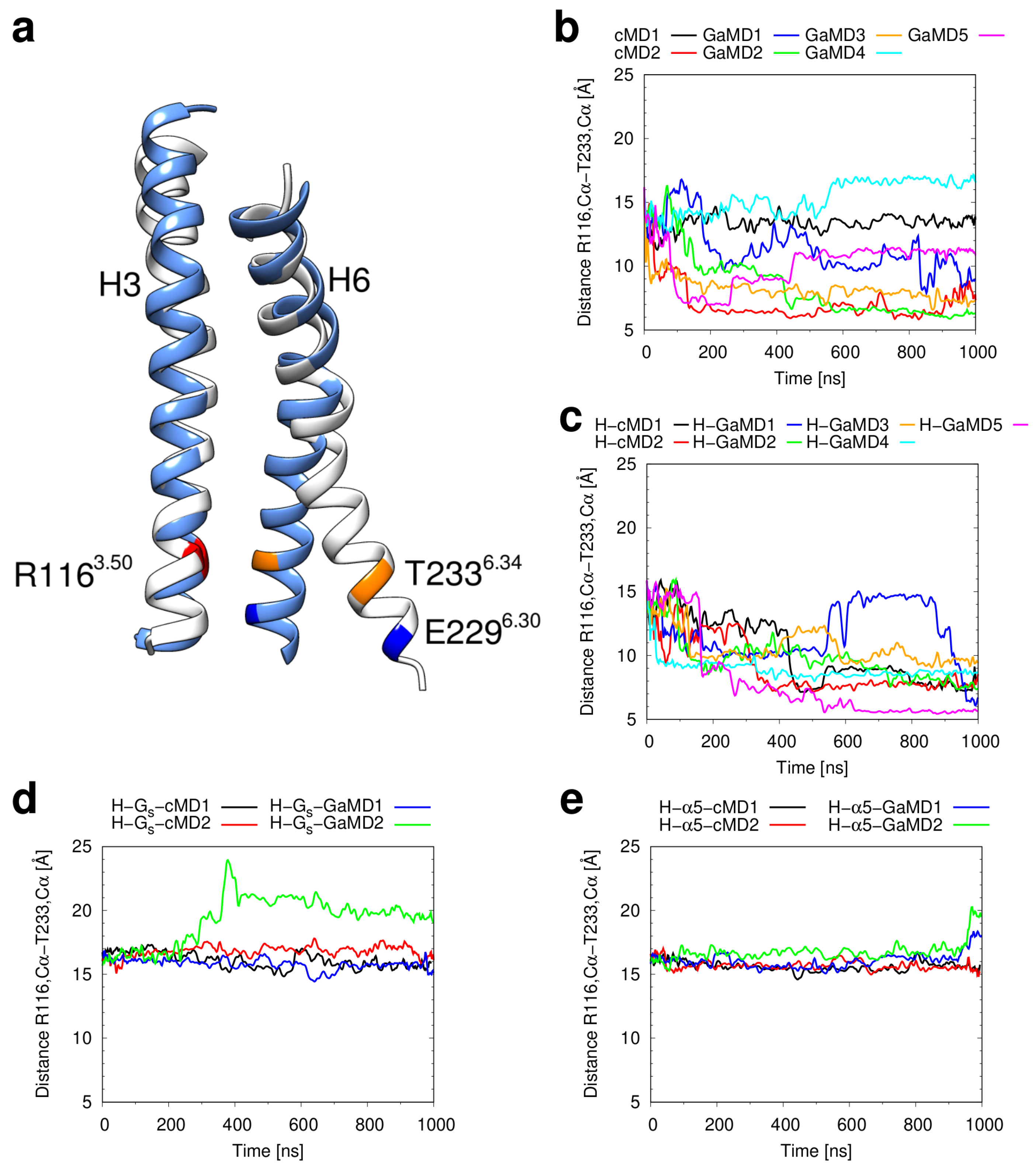 Ijms 21 06693 g006 Ijms 21 06693 g006