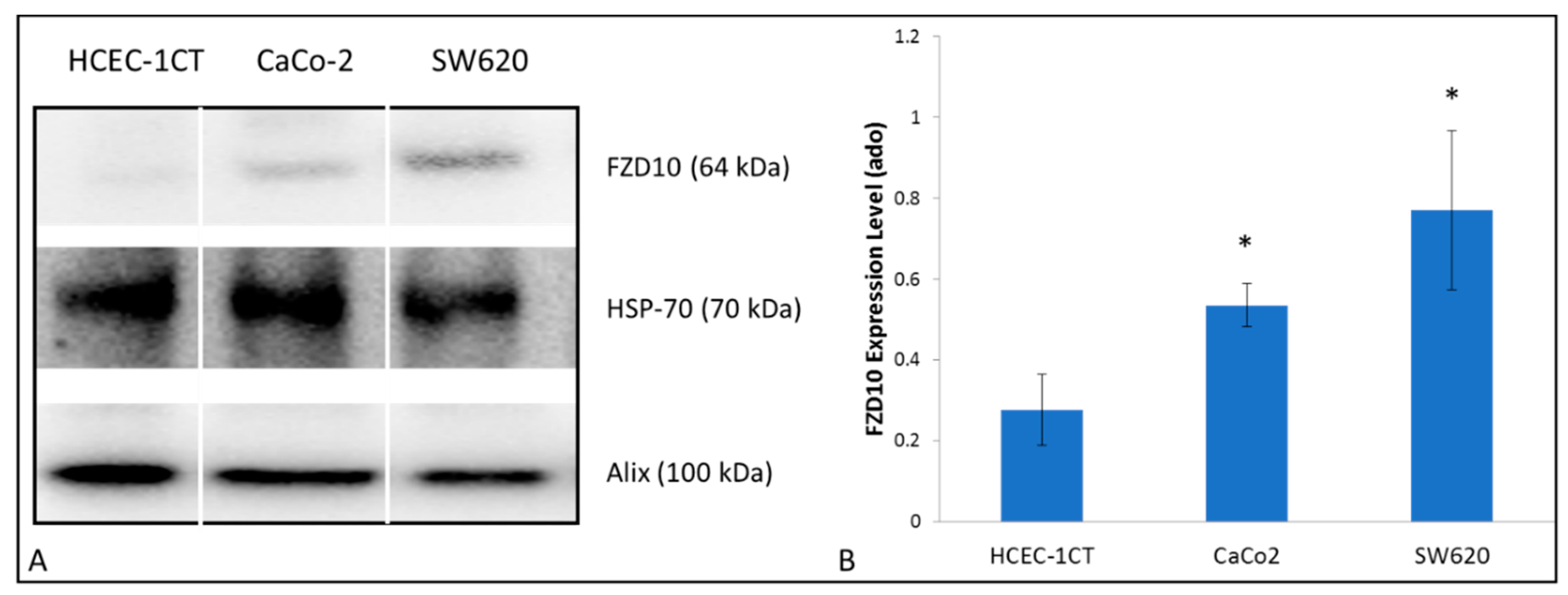 Ijms 21 06705 g002 Ijms 21 06705 g002