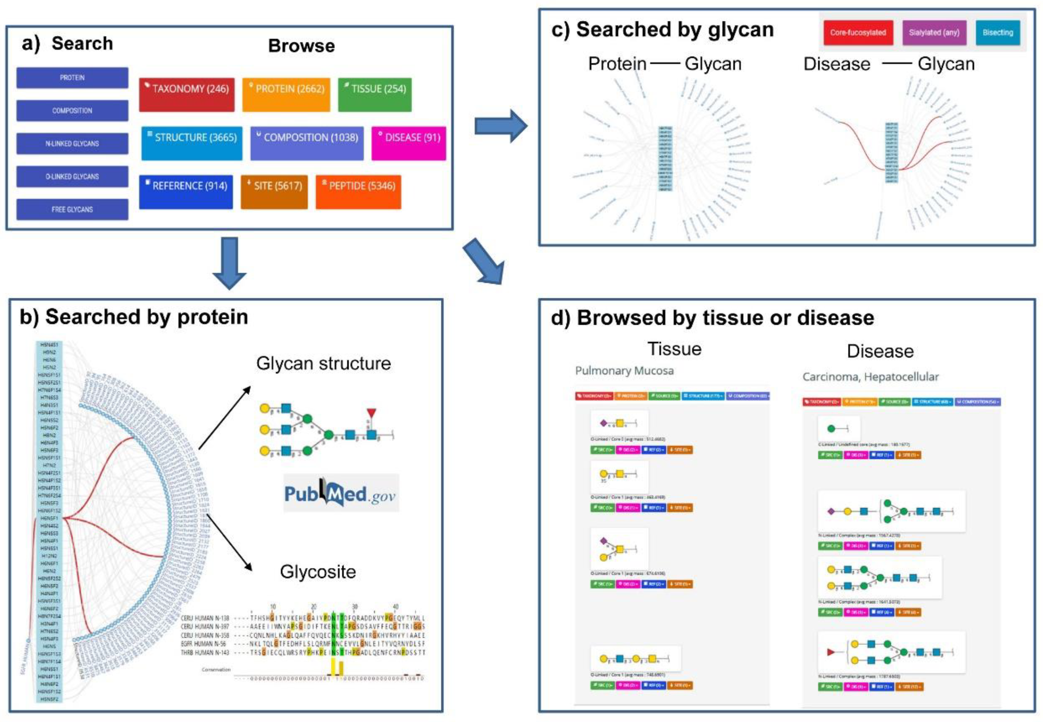 Big-Data Glycomics: Tools to Connect Glycan Biosynthesis to Extracellular  Communication: Trends in Biochemical Sciences
