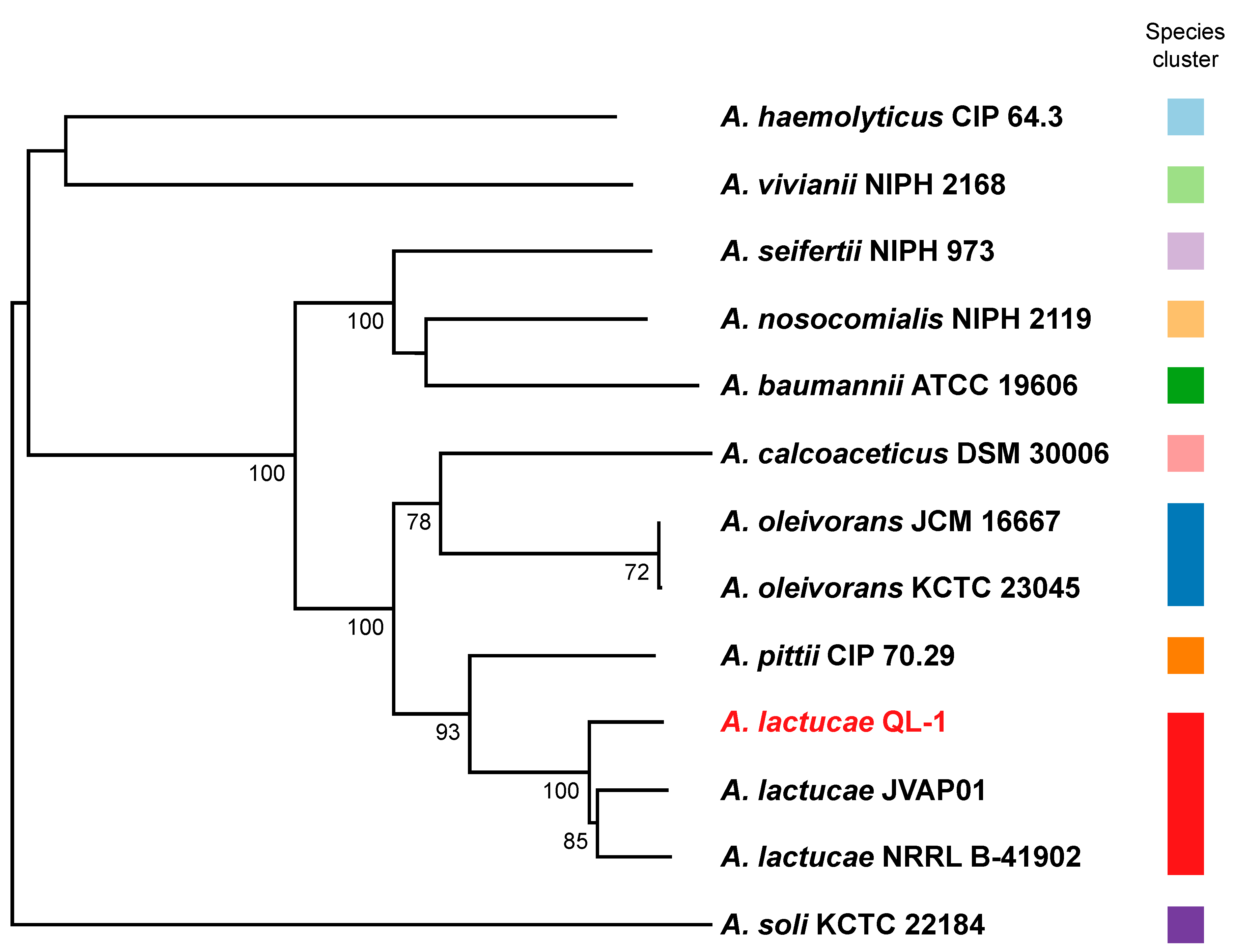 Ijms 21 06729 g002 Ijms 21 06729 g002