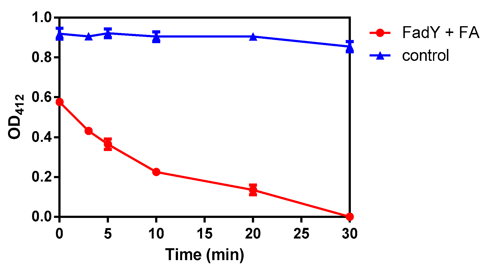Ijms 21 06729 g005 Ijms 21 06729 g005