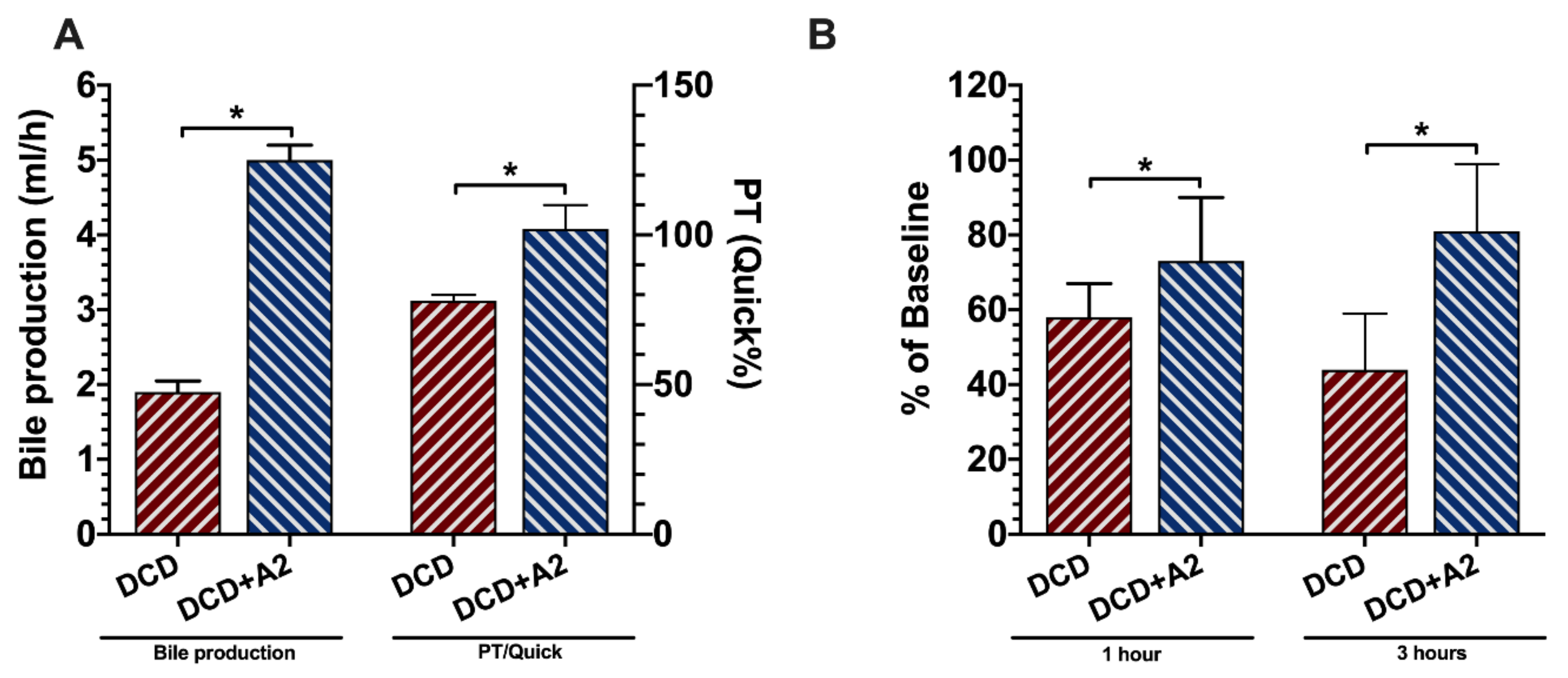 Ijms 21 06747 g002 Ijms 21 06747 g002