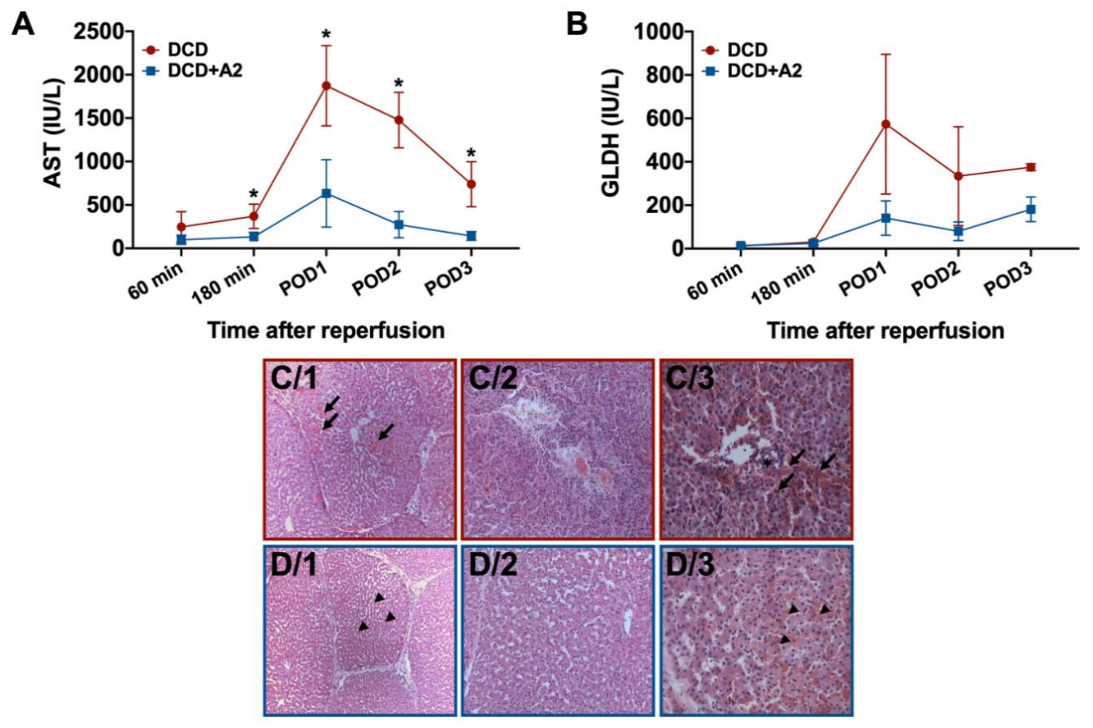 Ijms 21 06747 g003 Ijms 21 06747 g003