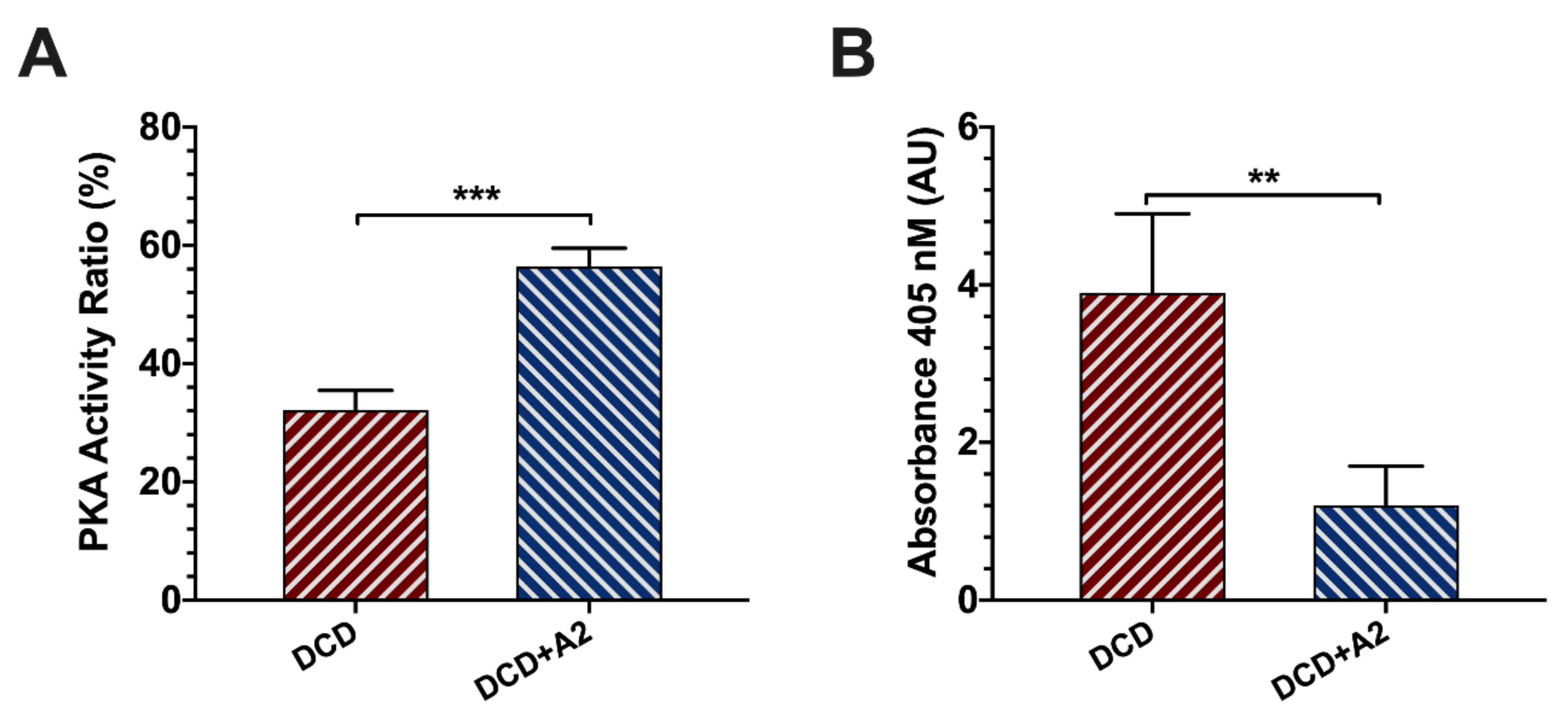 Ijms 21 06747 g004 Ijms 21 06747 g004