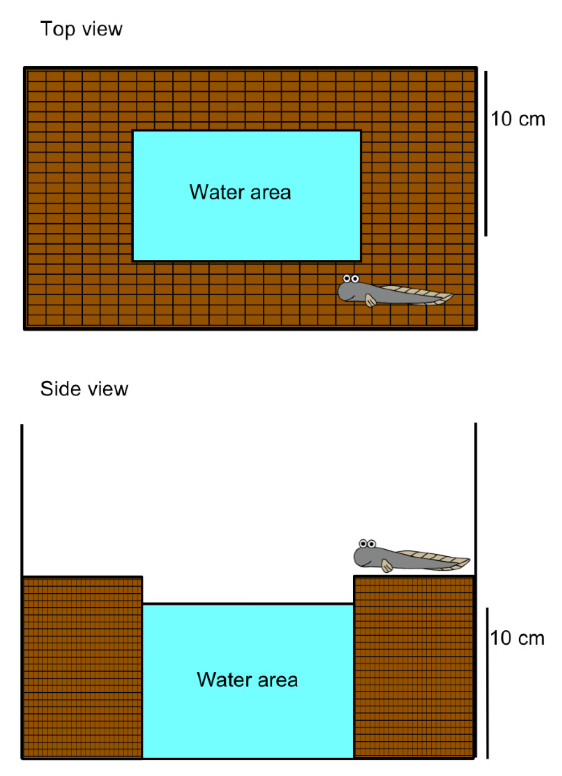 Ijms 21 06748 g002 Ijms 21 06748 g002