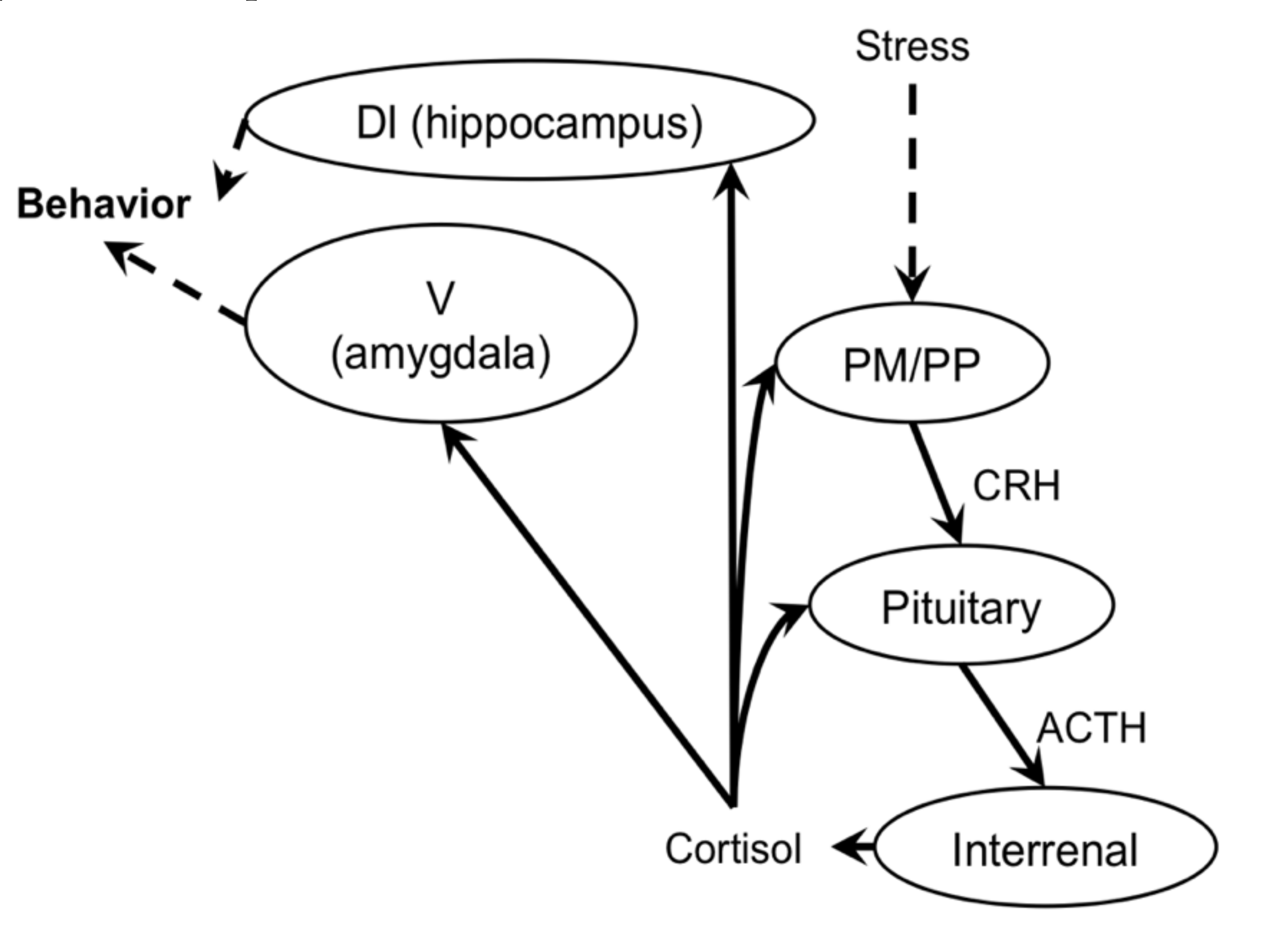 Ijms 21 06748 g004 Ijms 21 06748 g004