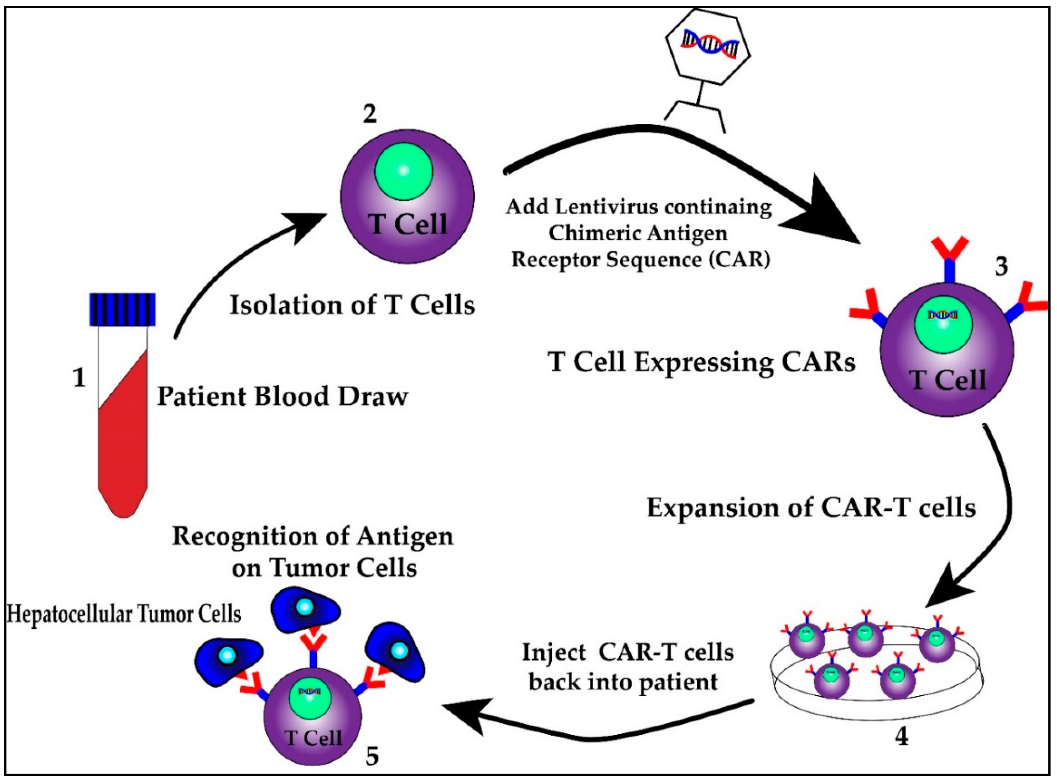 Ijms 21 06757 g003 Ijms 21 06757 g003