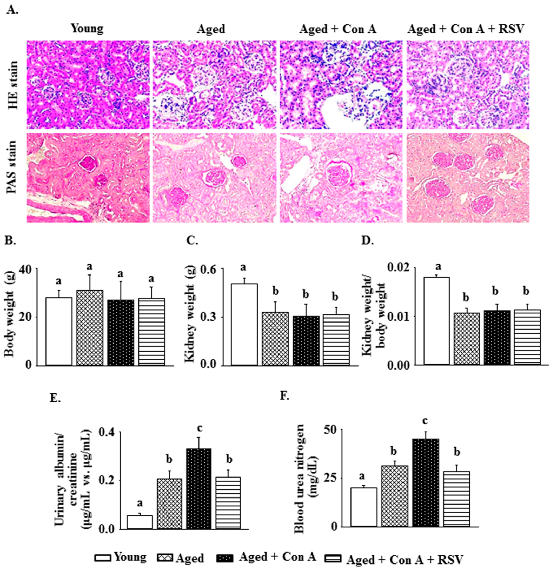 Ijms 21 06766 g001 Ijms 21 06766 g001