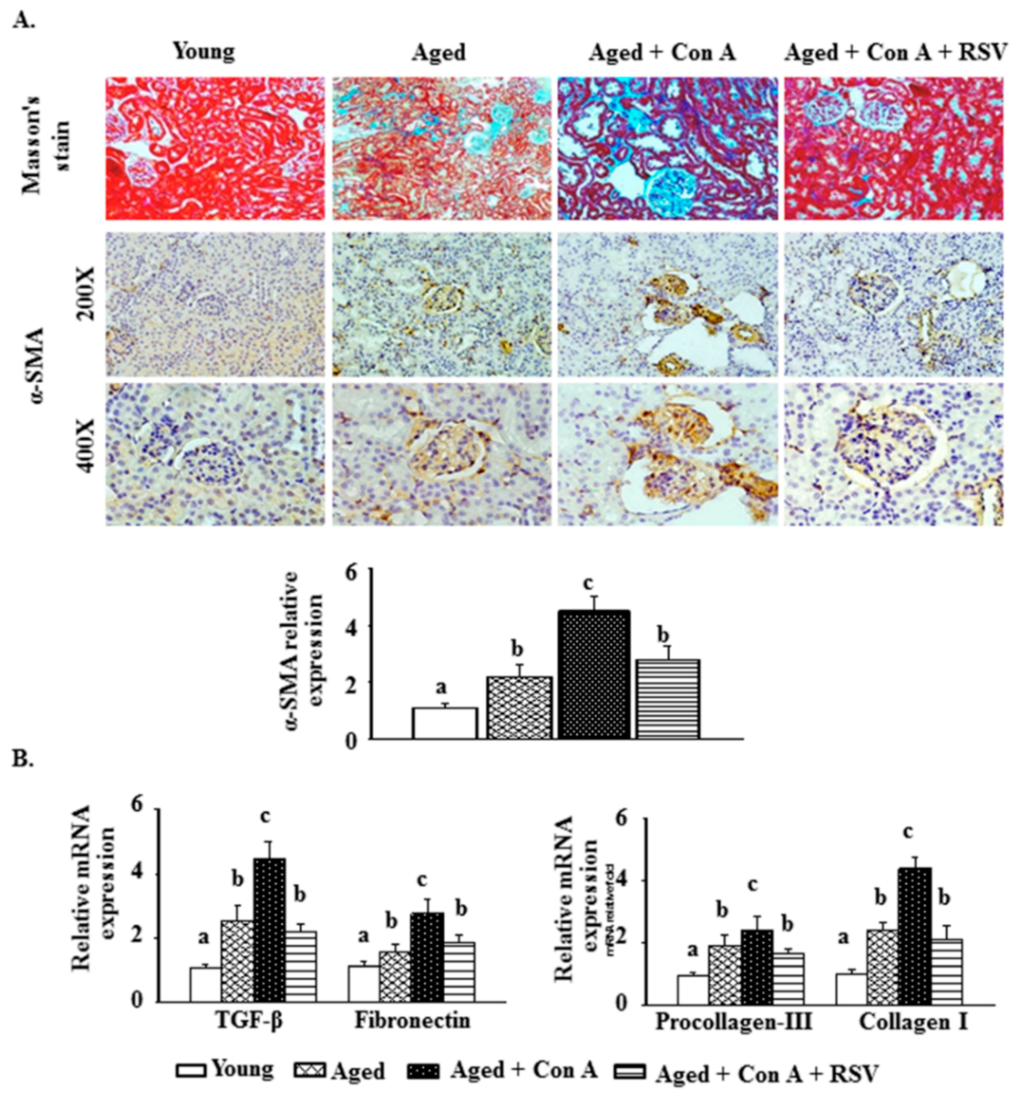 Ijms 21 06766 g002 Ijms 21 06766 g002