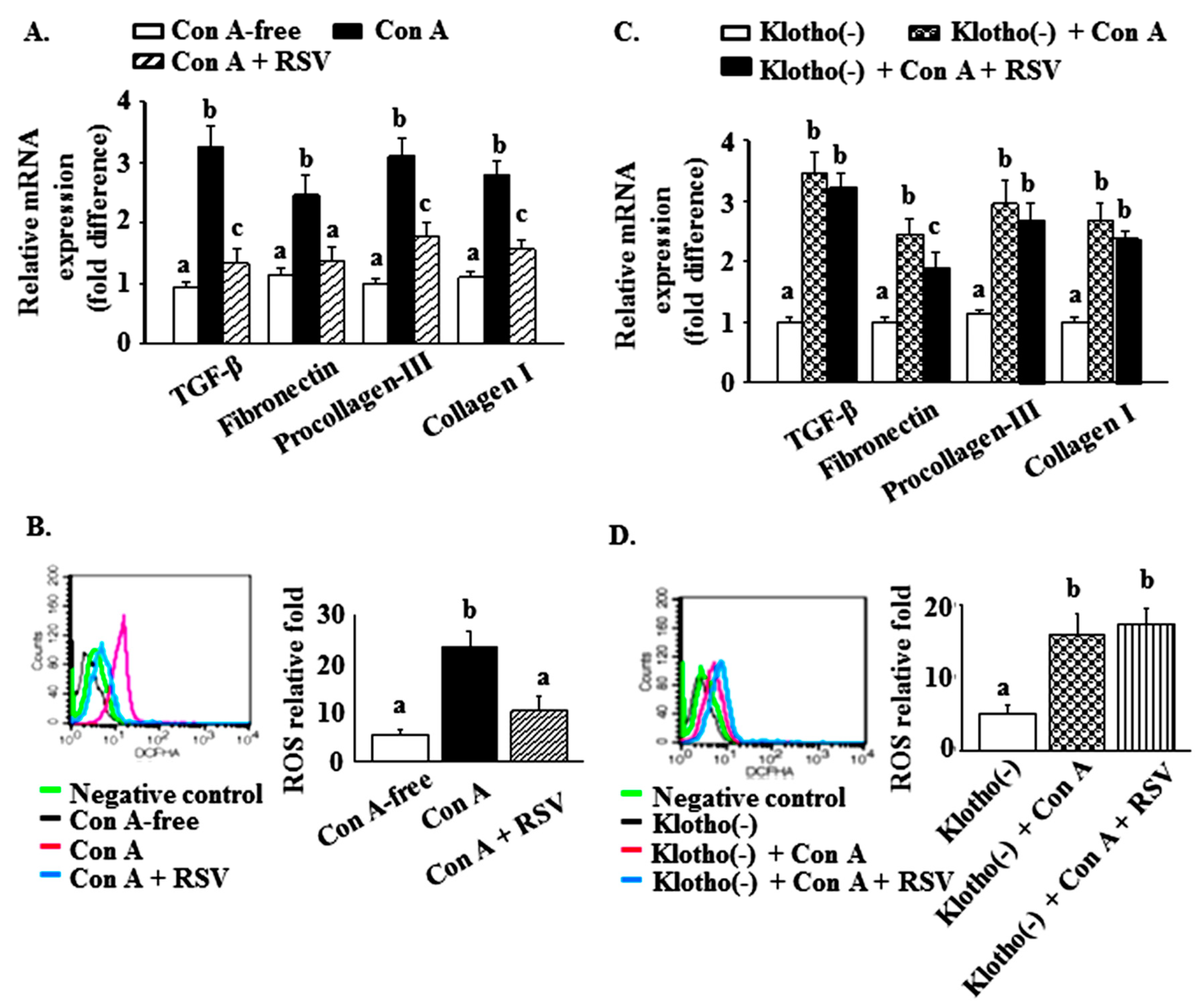 Ijms 21 06766 g005 Ijms 21 06766 g005