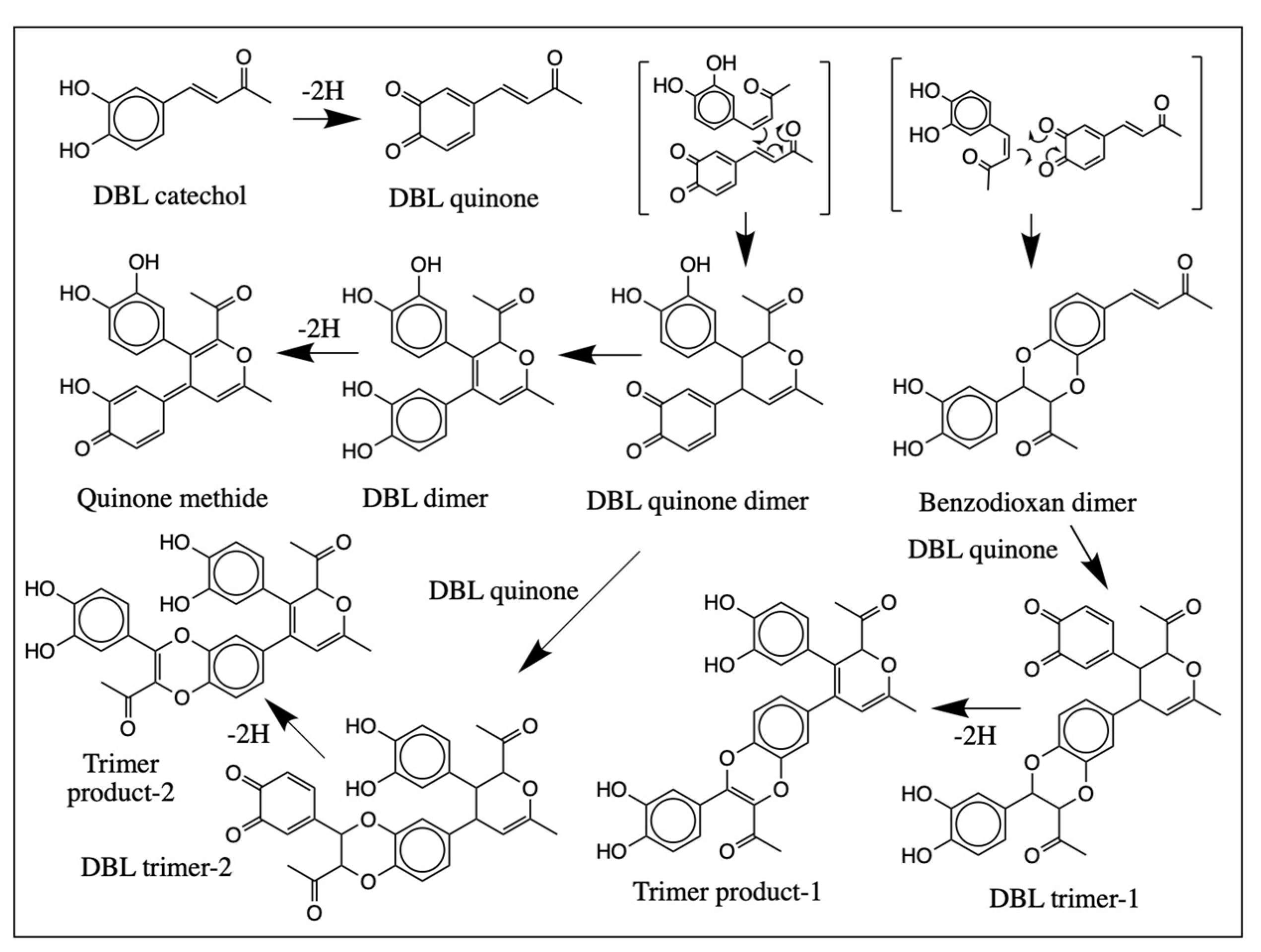 IJMS | Free Full-Text | Oxidative Oligomerization of DBL Catechol, a  potential Cytotoxic Compound for Melanocytes, Reveals the Occurrence of  Novel Ionic Diels-Alder Type Additions | HTML