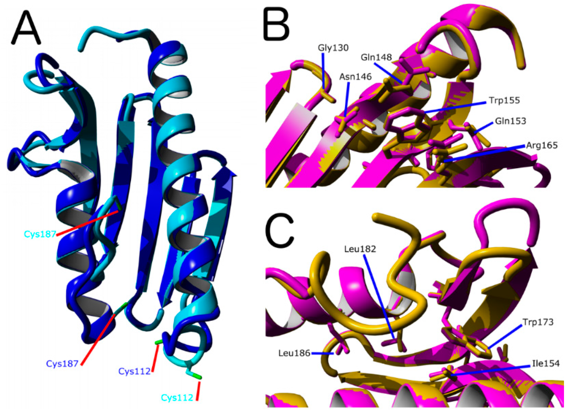 Ijms 21 06821 g002 Ijms 21 06821 g002