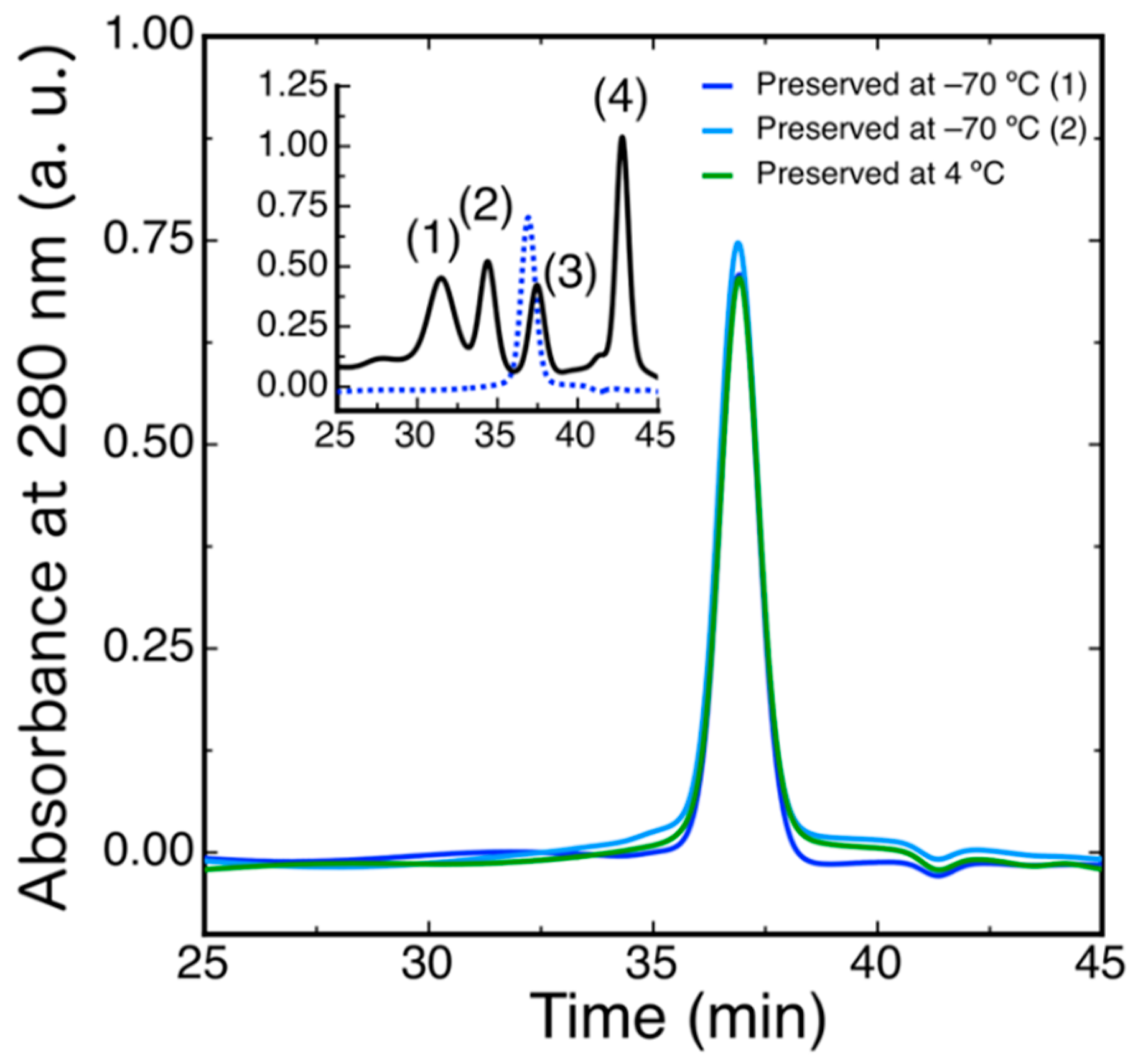 Ijms 21 06821 g004 Ijms 21 06821 g004