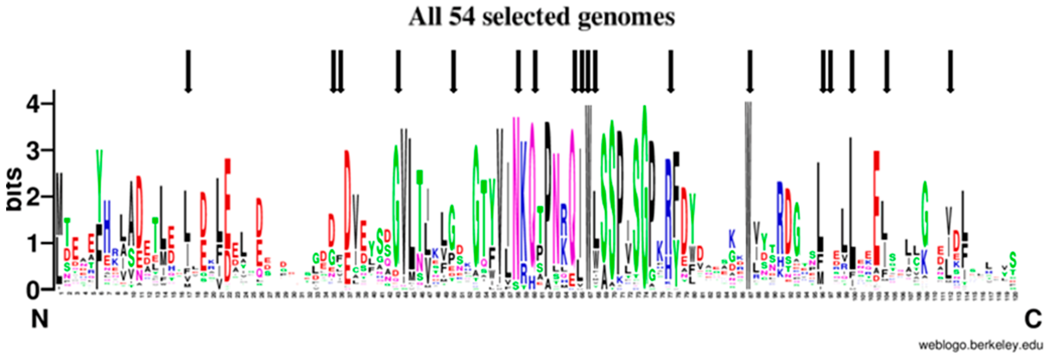 Ijms 21 06821 g009 Ijms 21 06821 g009