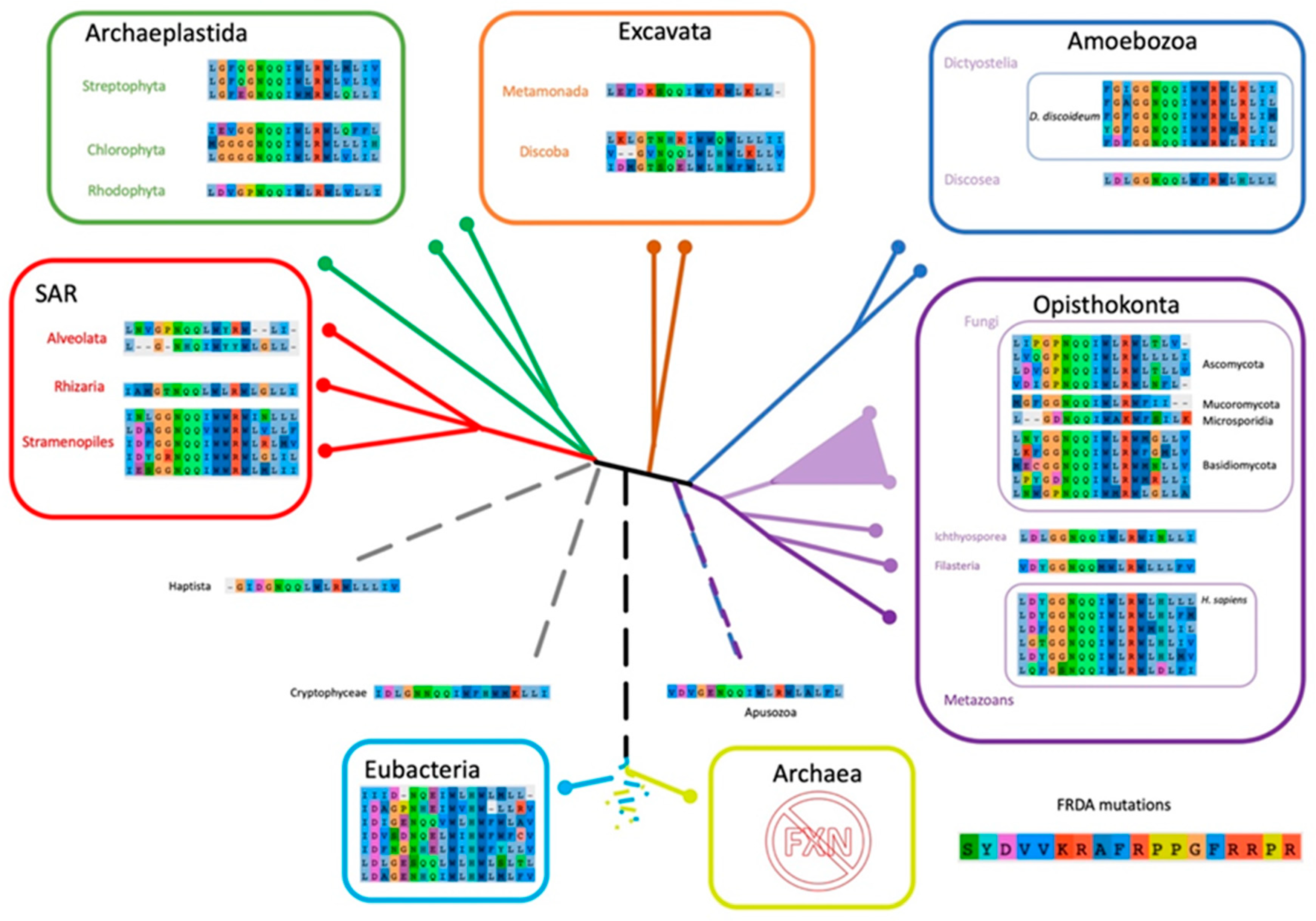 Ijms 21 06821 g010 Ijms 21 06821 g010