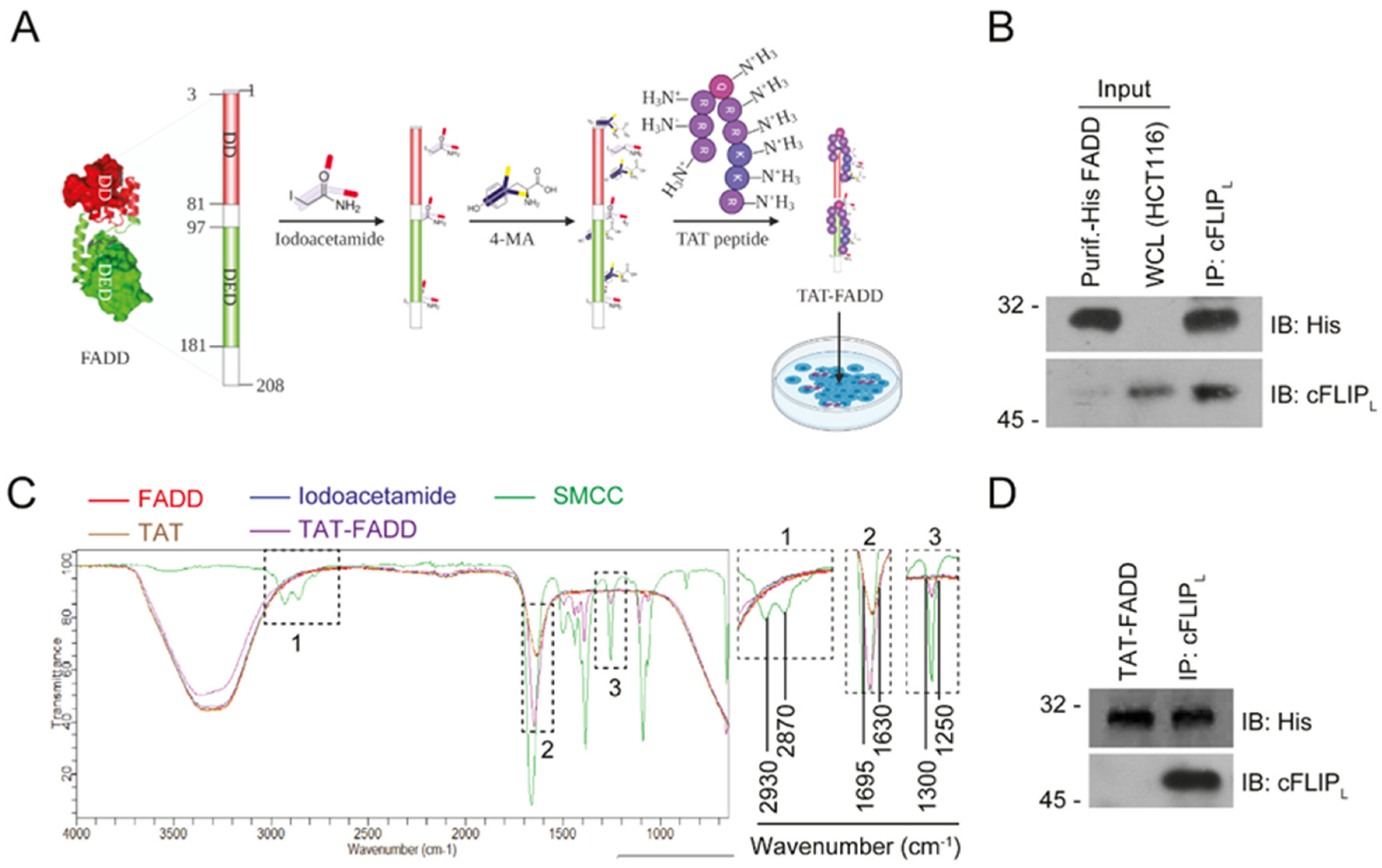 Ijms 21 06890 g001 Ijms 21 06890 g001