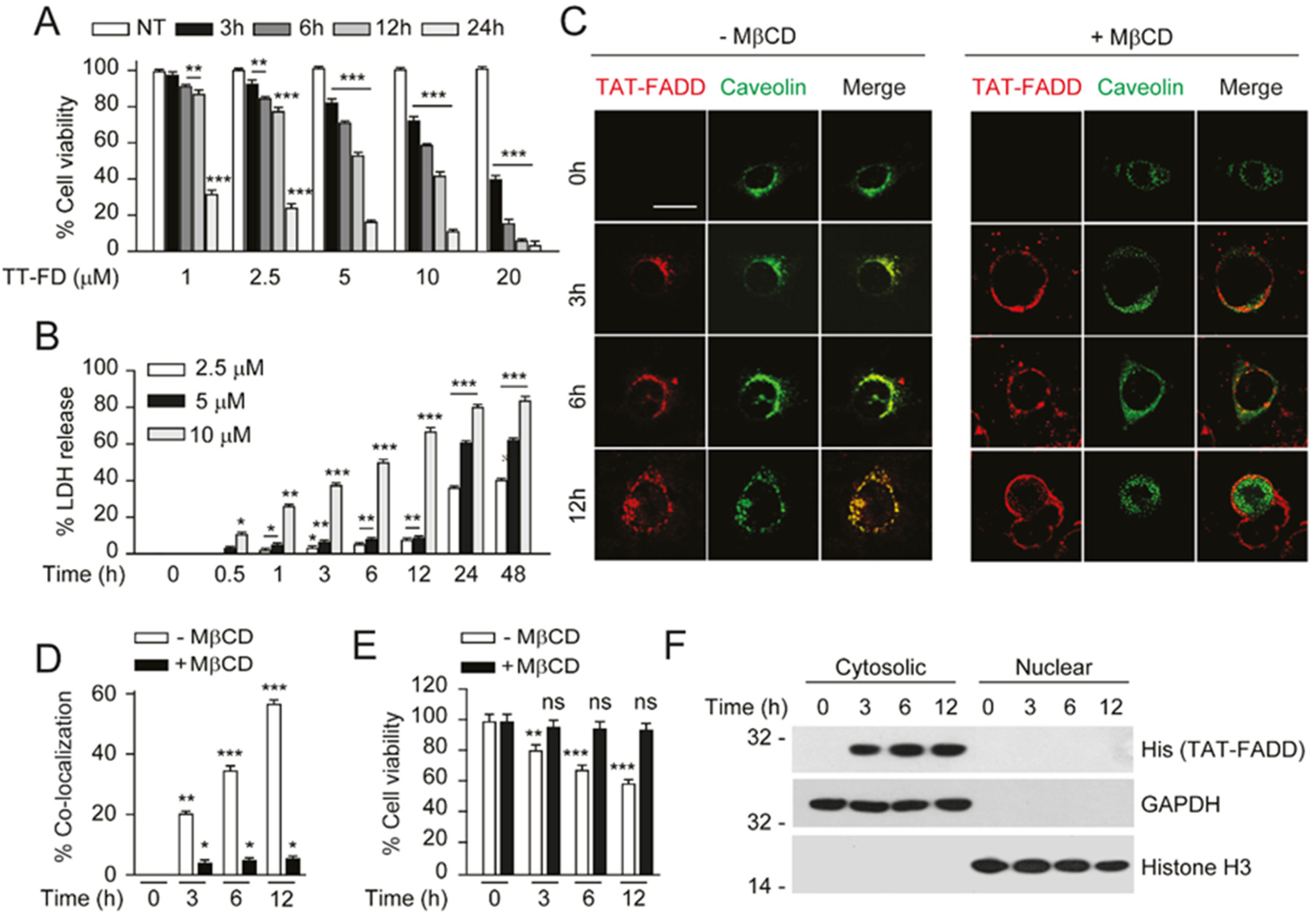 Ijms 21 06890 g002 Ijms 21 06890 g002