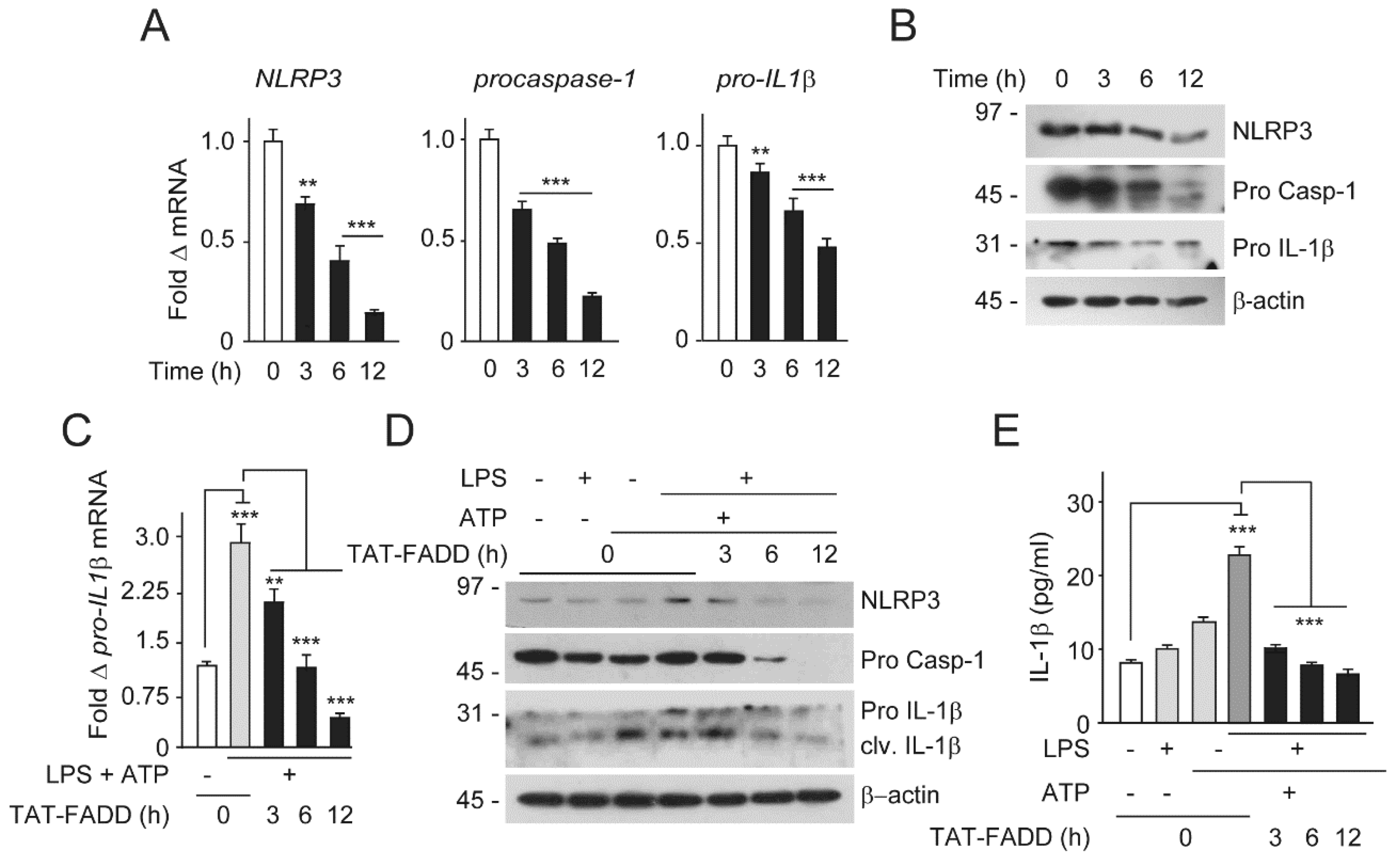 Ijms 21 06890 g006 Ijms 21 06890 g006