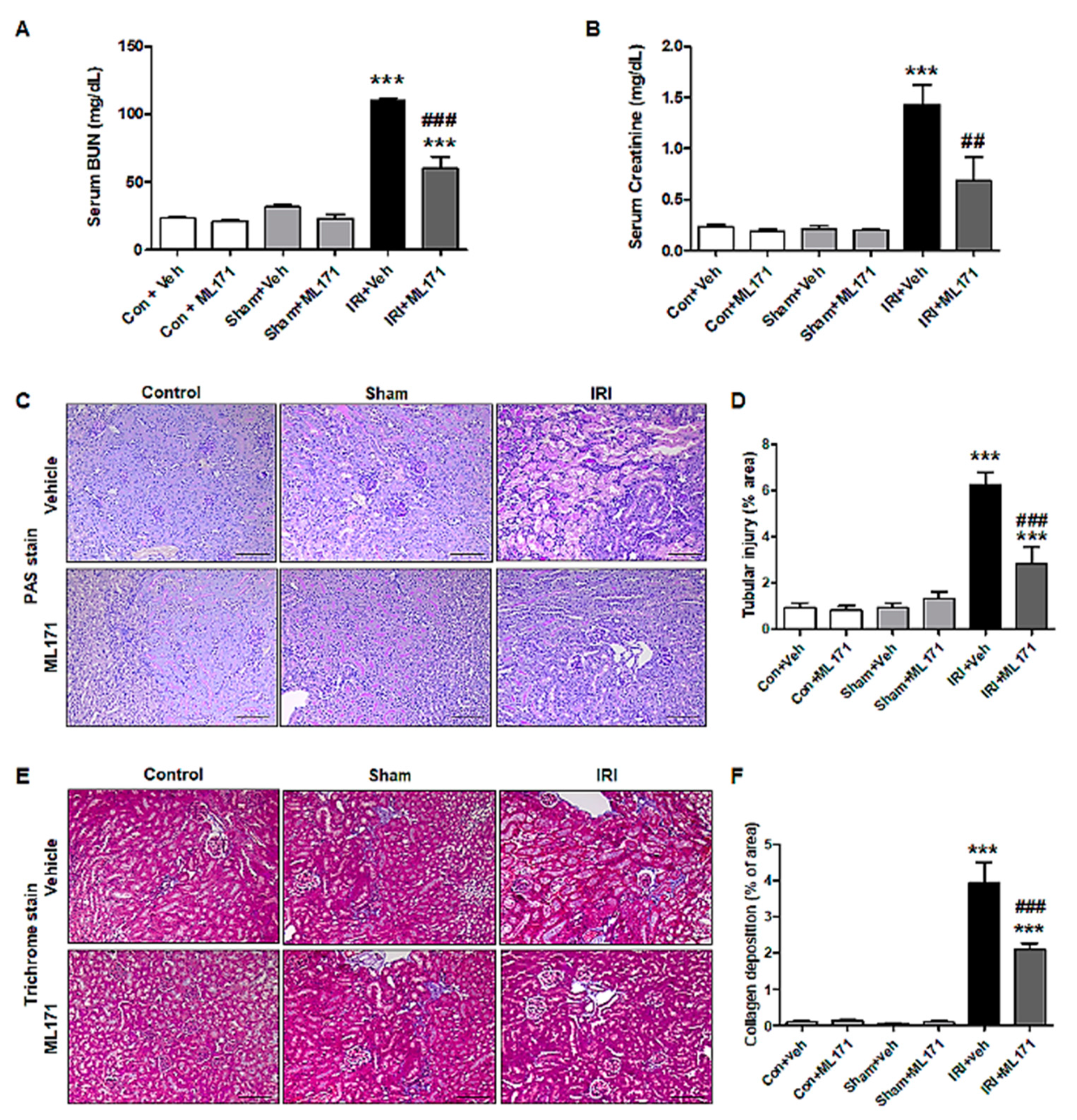 Ijms 21 06911 g001 Ijms 21 06911 g001