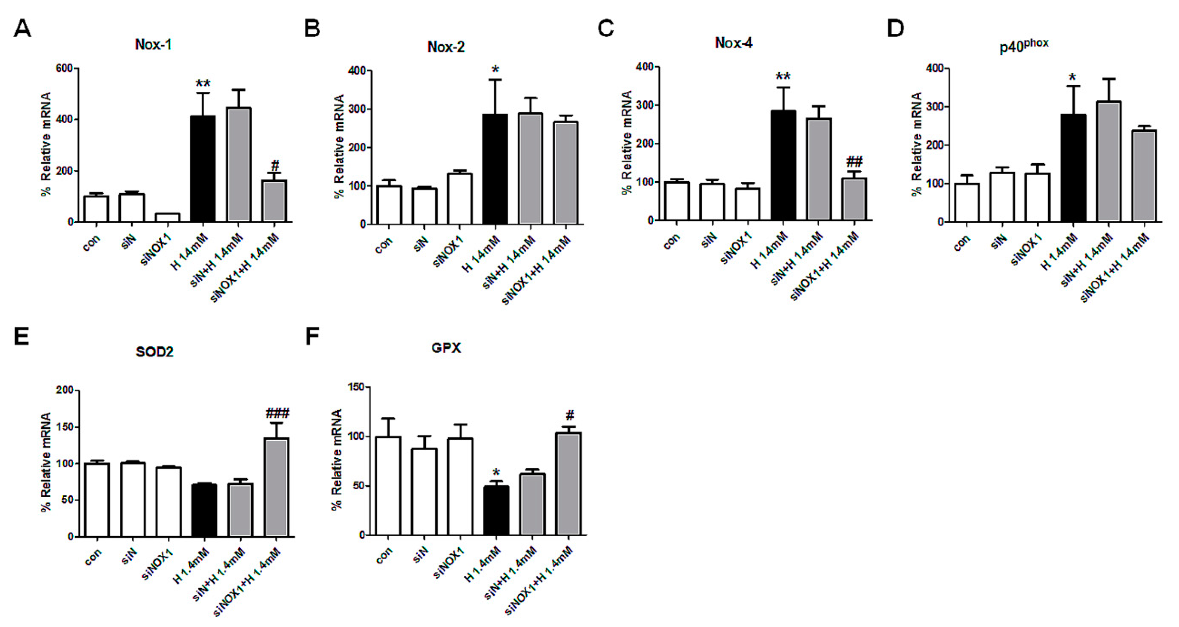 Ijms 21 06911 g006 Ijms 21 06911 g006