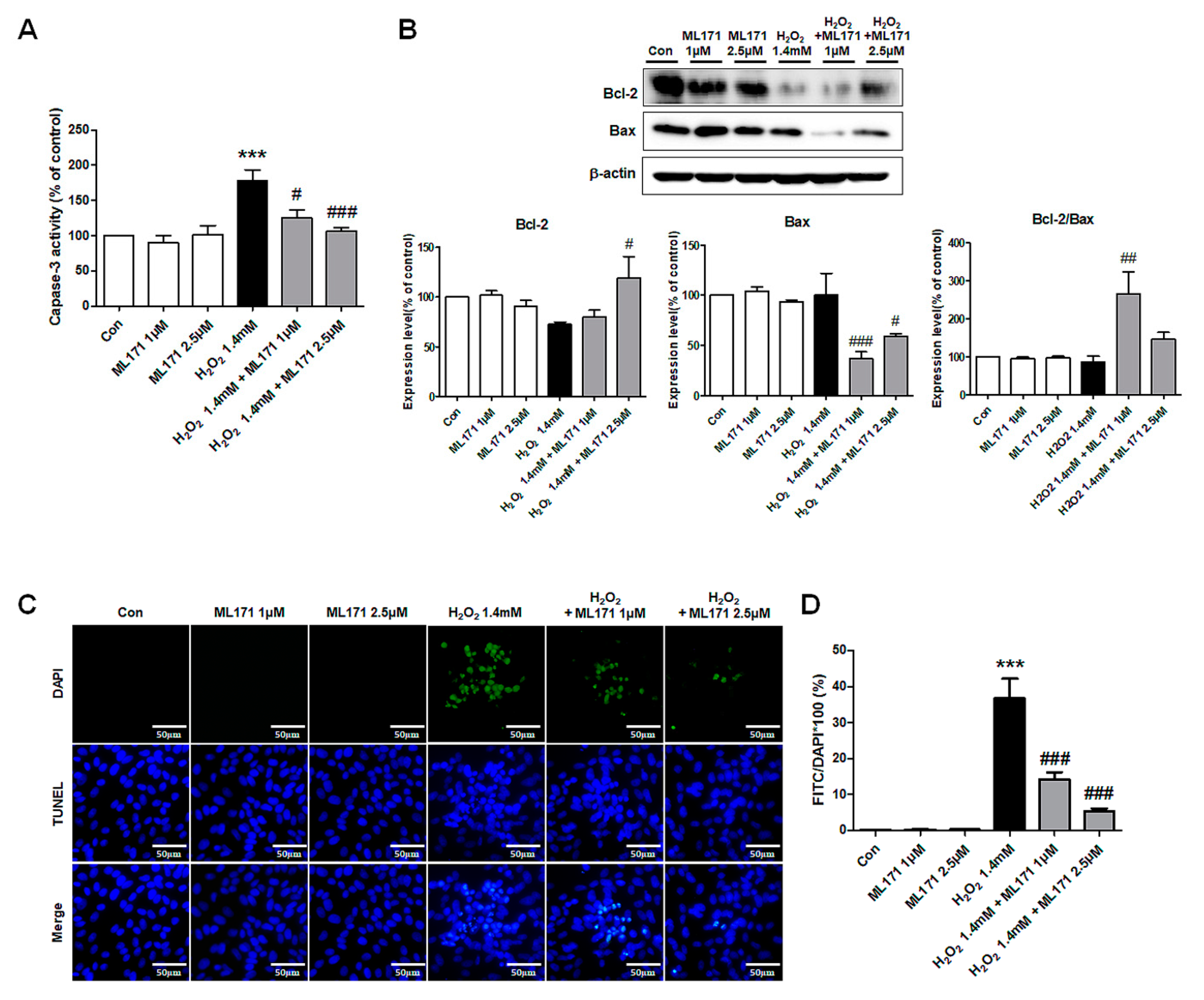 Ijms 21 06911 g007 Ijms 21 06911 g007
