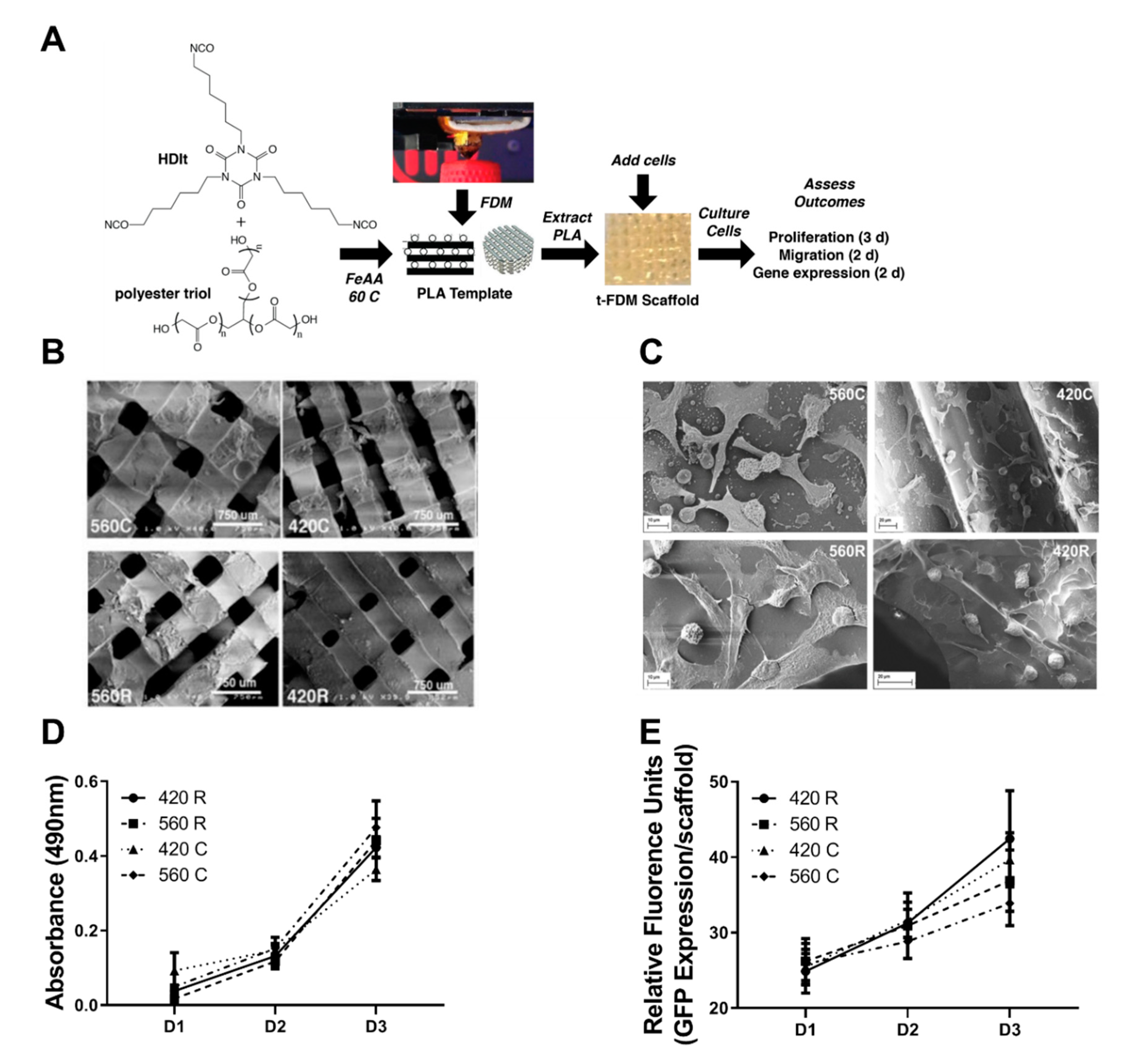 Ijms 21 06913 g001 Ijms 21 06913 g001