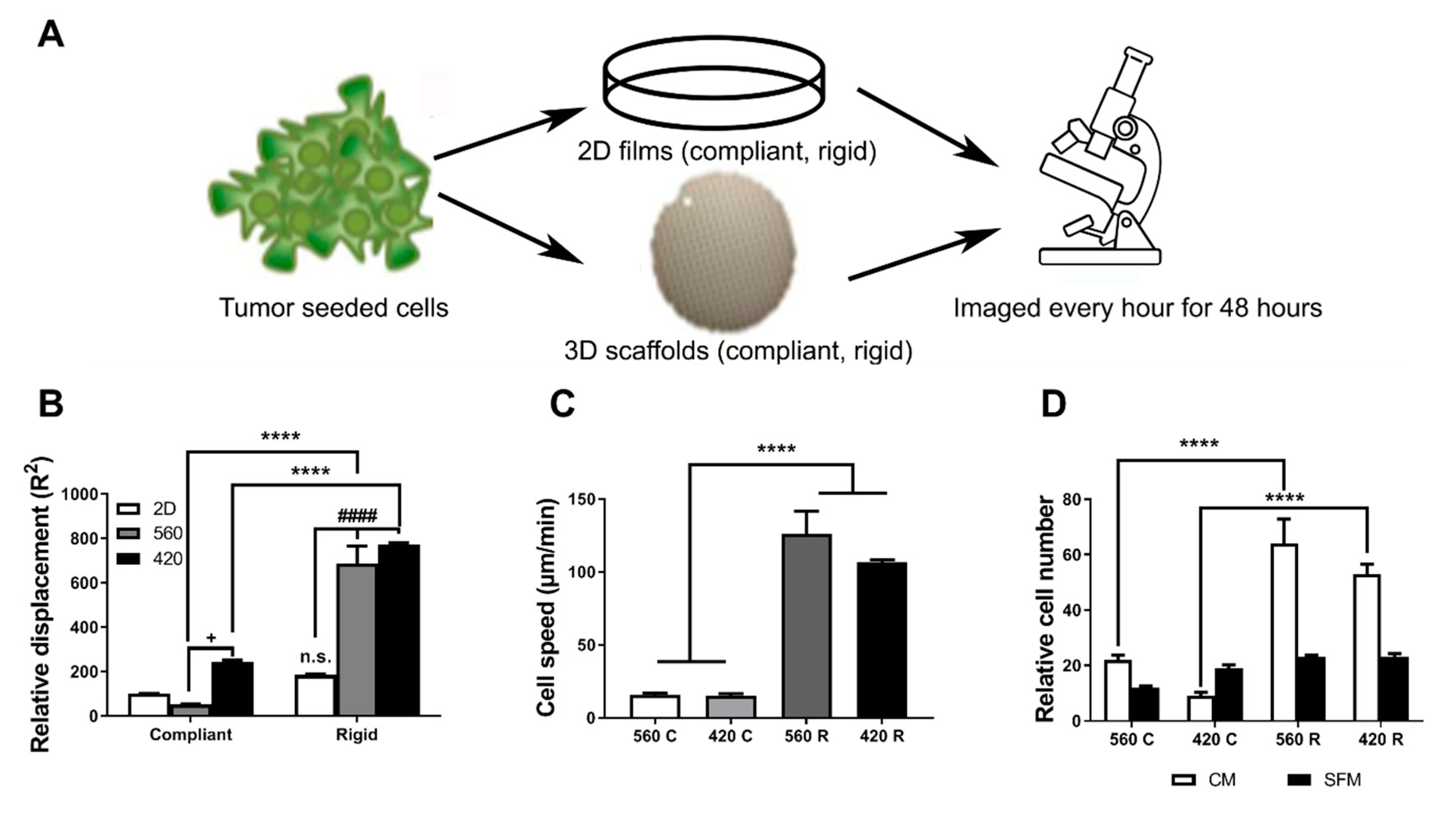 Ijms 21 06913 g002 Ijms 21 06913 g002