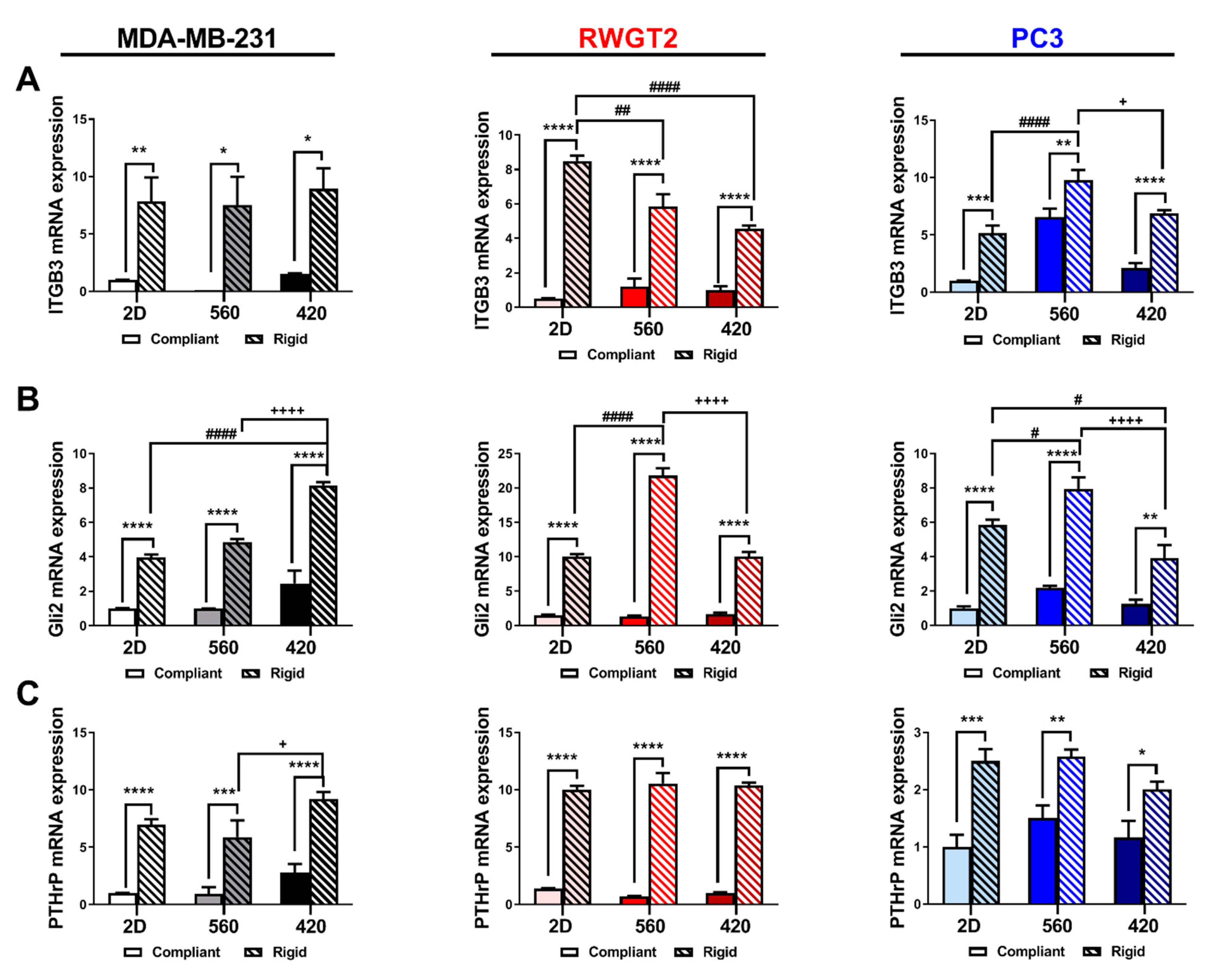 Ijms 21 06913 g003 Ijms 21 06913 g003