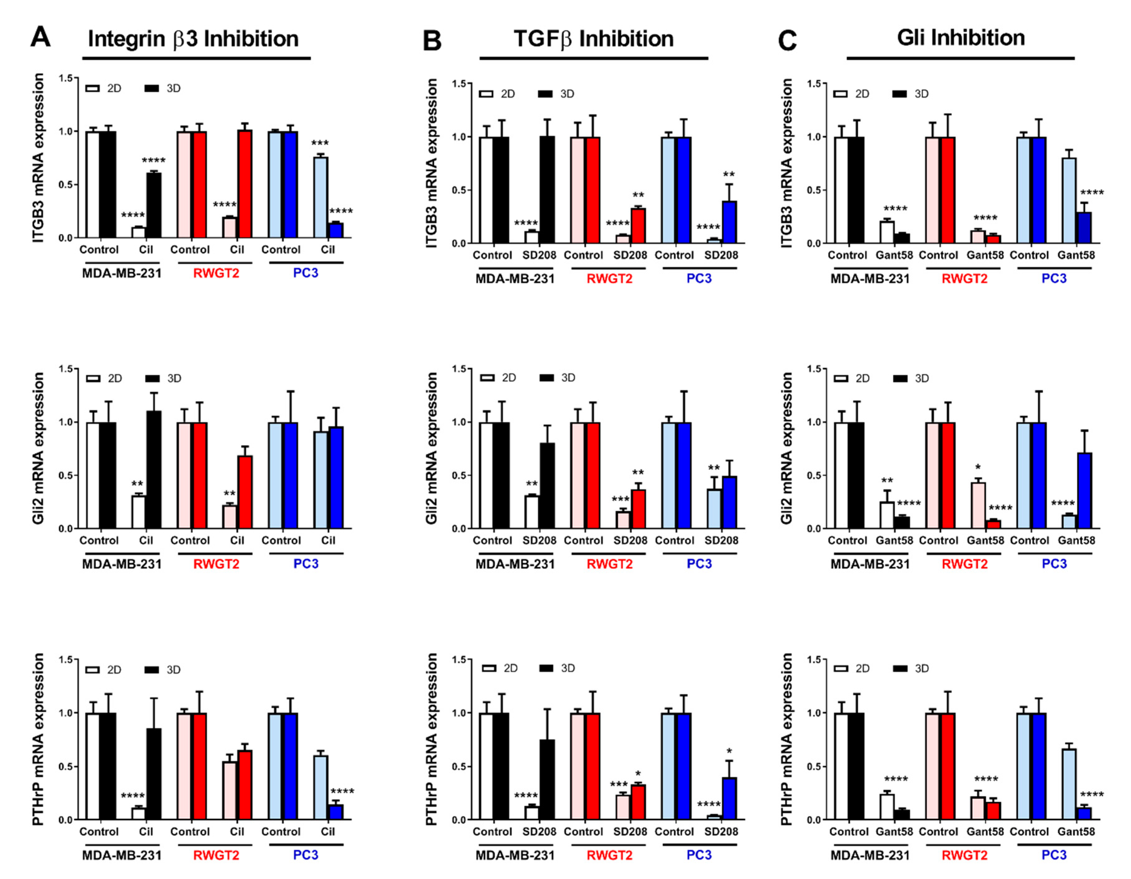 Ijms 21 06913 g004 Ijms 21 06913 g004