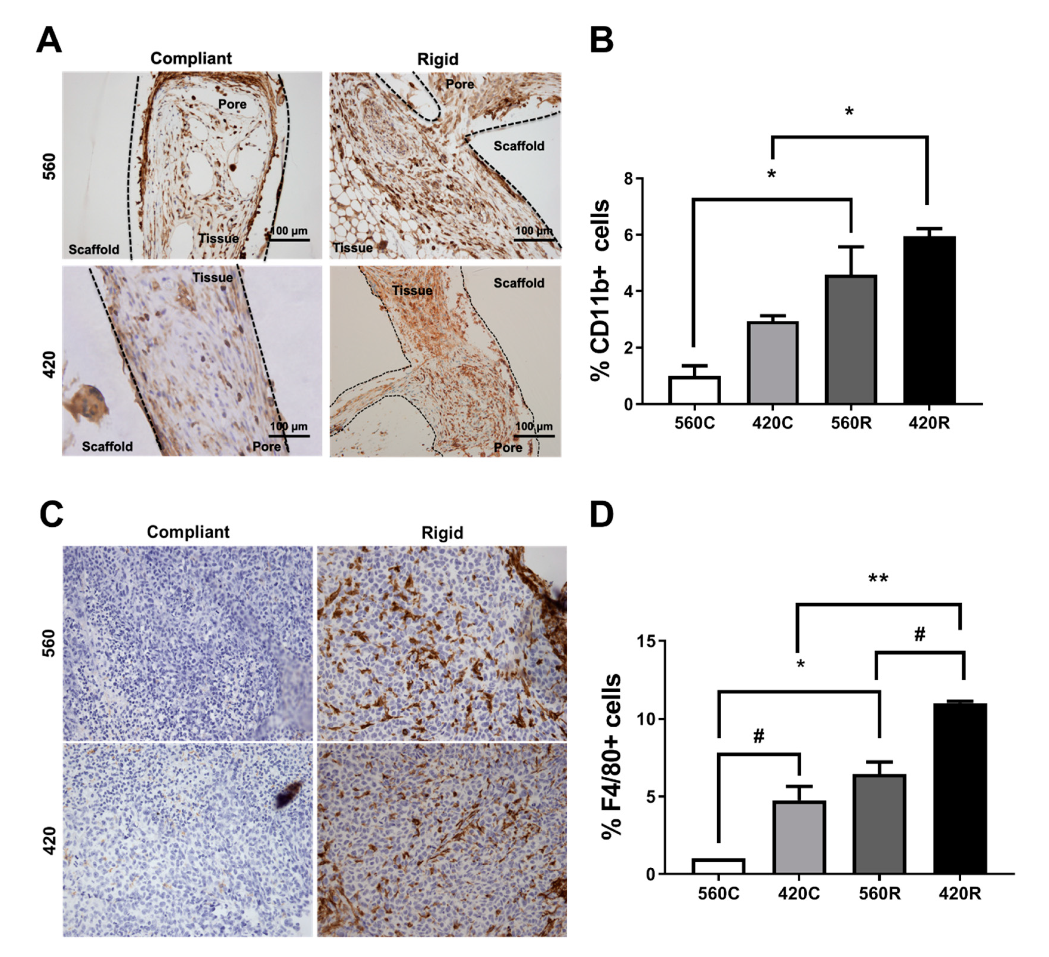 Ijms 21 06913 g006 Ijms 21 06913 g006