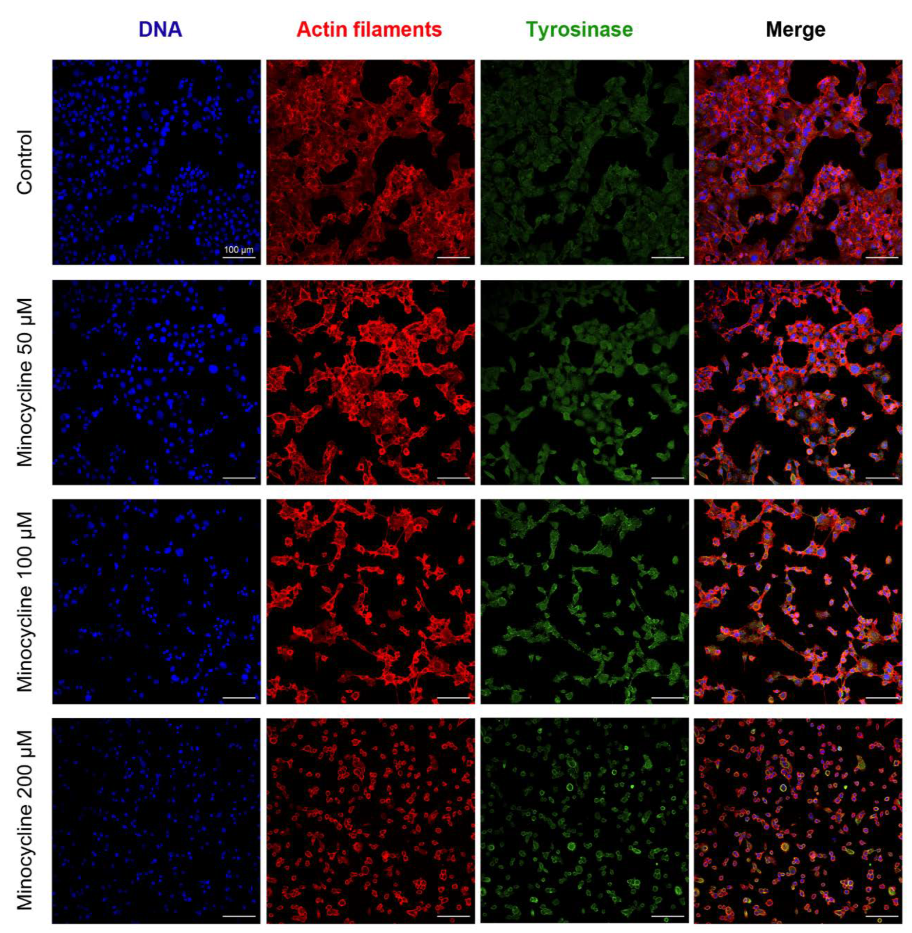 Ijms 21 06917 g003 Ijms 21 06917 g003