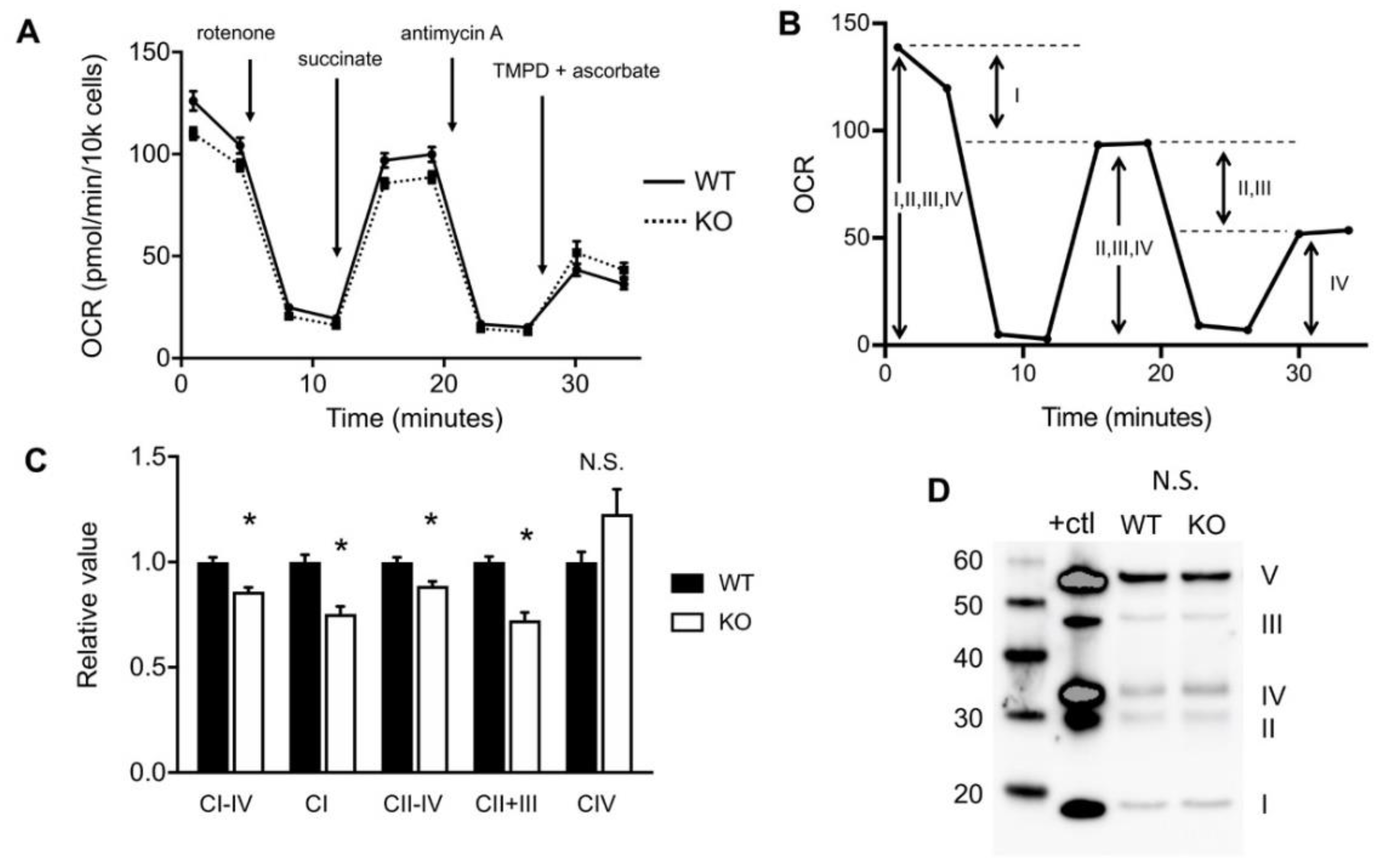 Ijms 21 06941 g002 Ijms 21 06941 g002