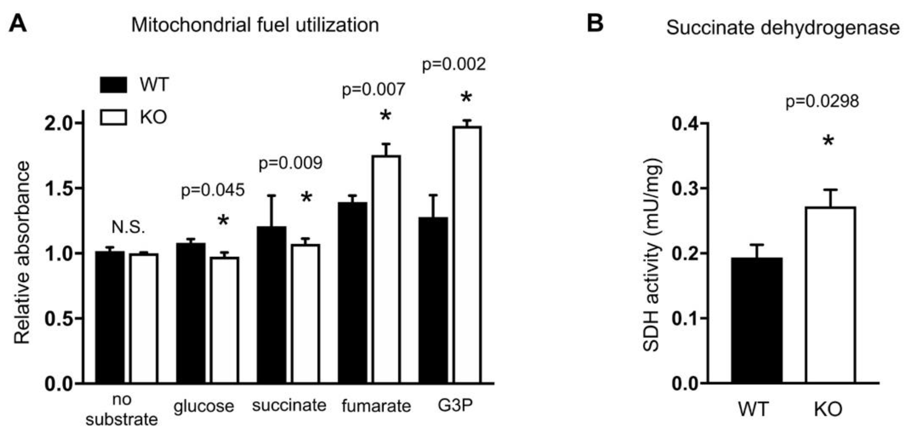Ijms 21 06941 g003 Ijms 21 06941 g003