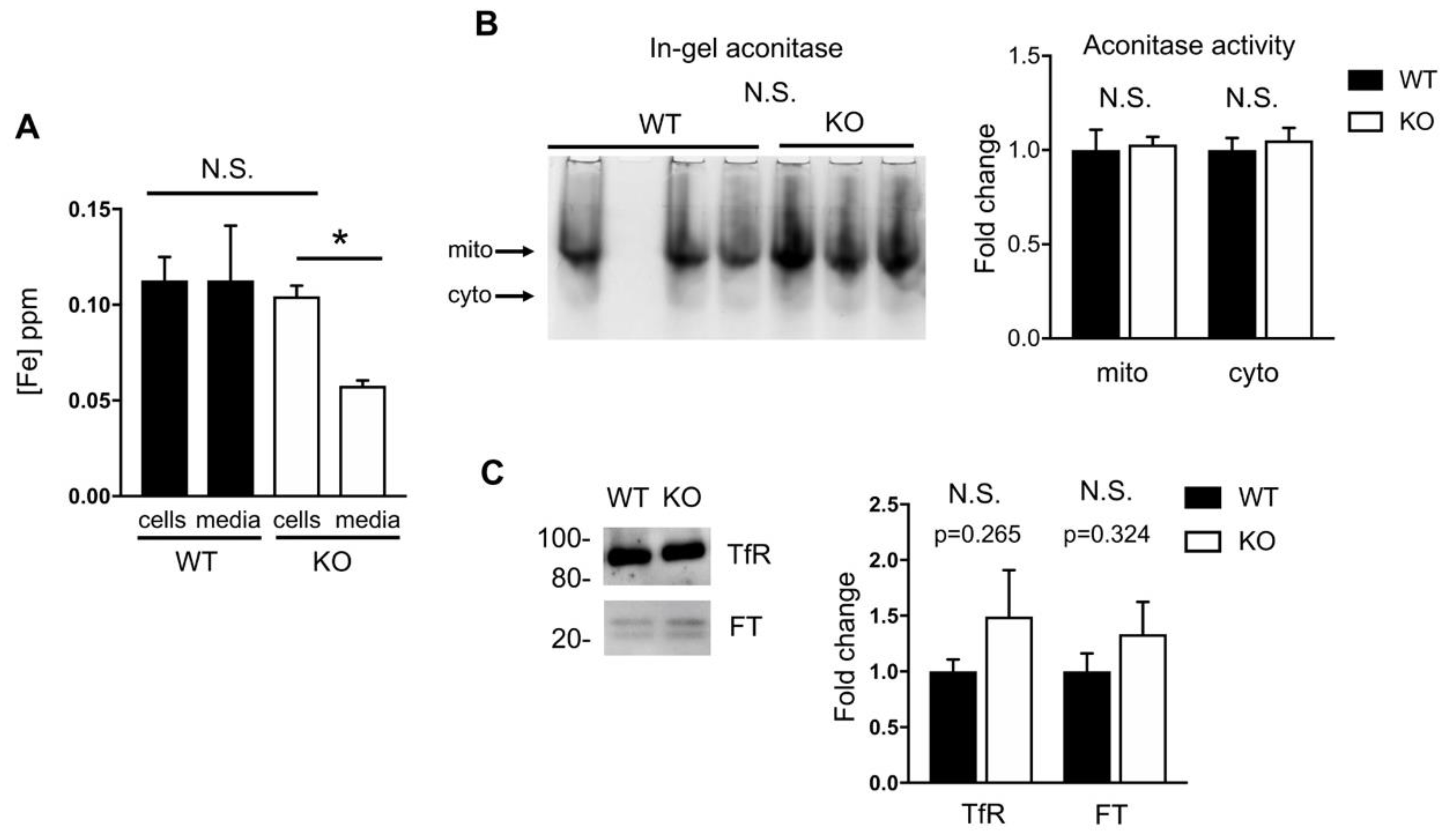 Ijms 21 06941 g004 Ijms 21 06941 g004