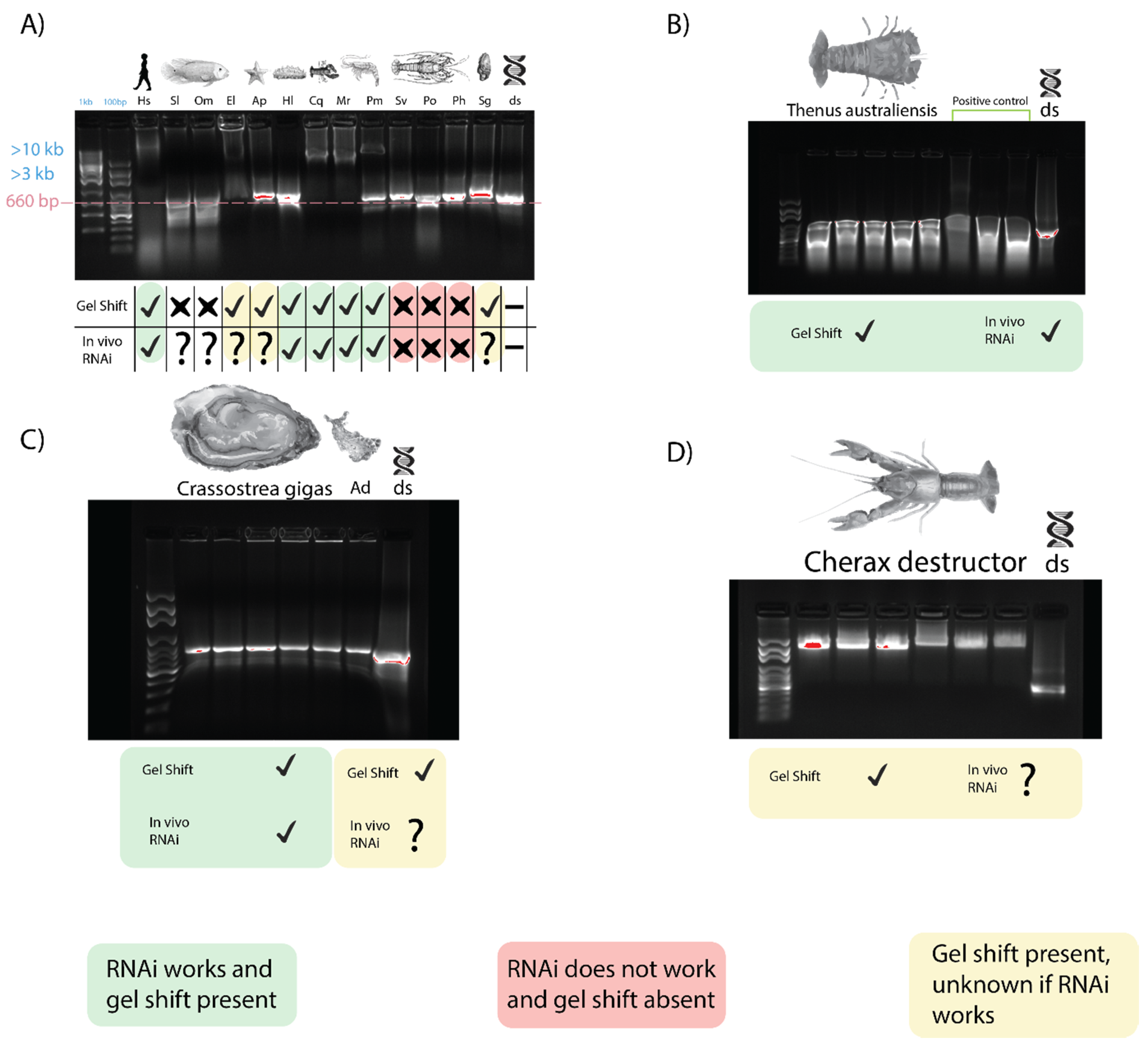 Ijms 21 06967 g004 Ijms 21 06967 g004