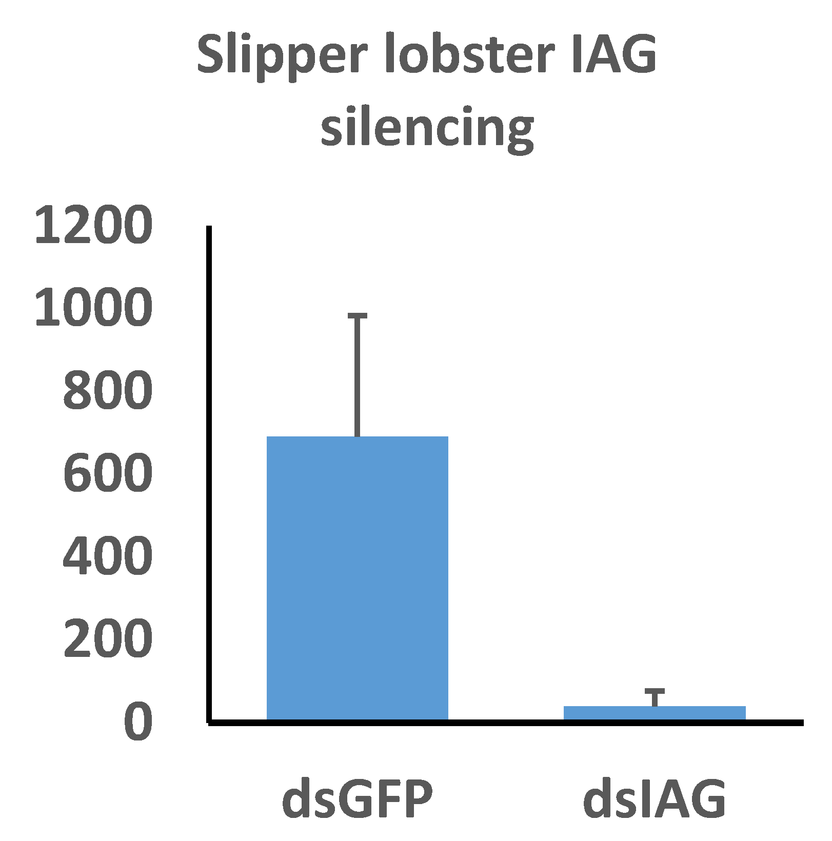 Ijms 21 06967 g007 Ijms 21 06967 g007